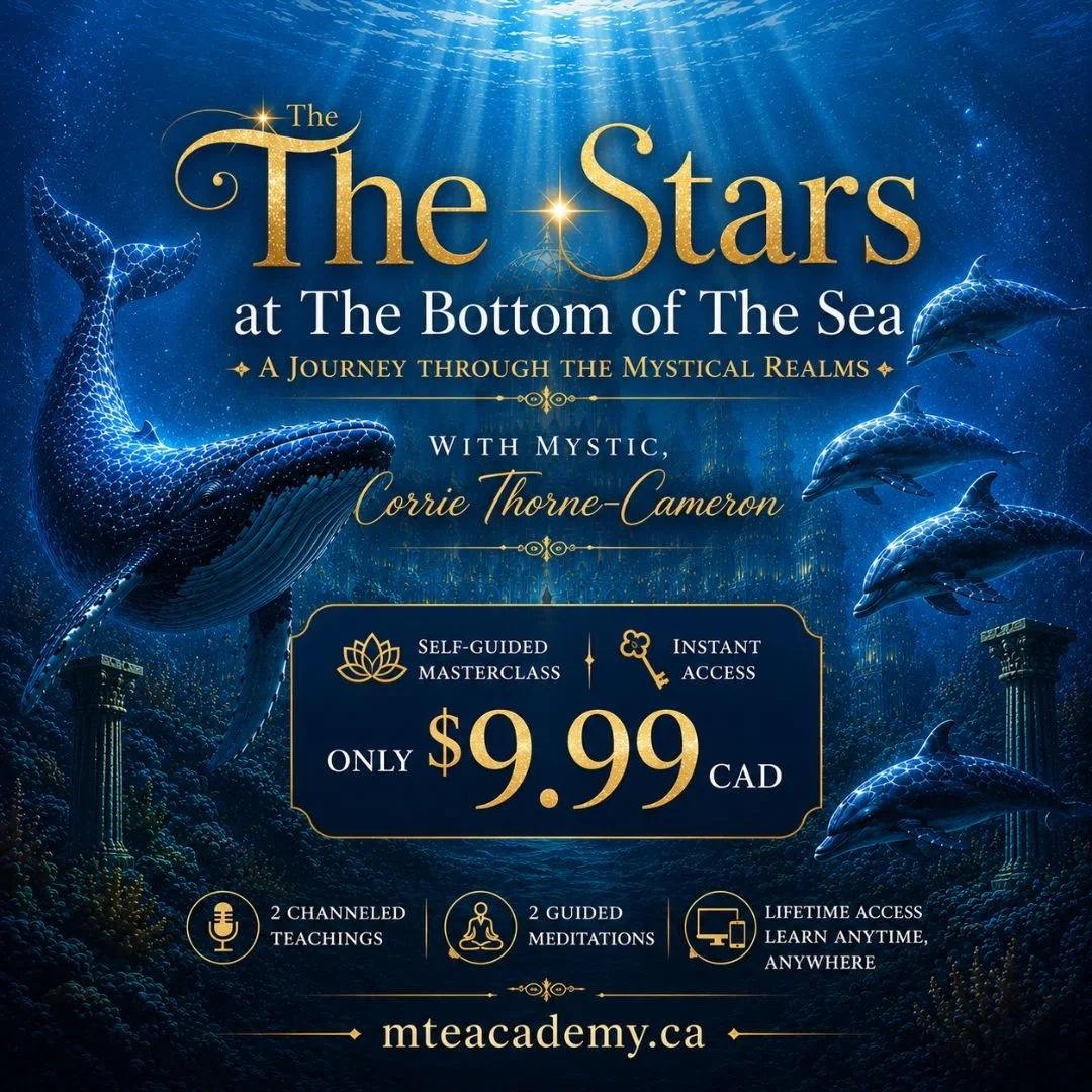 The Stars At The Bottom Of The Sea