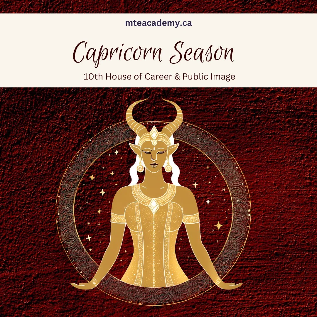 Explore the Teachings of Capricorn Season ($49.99)