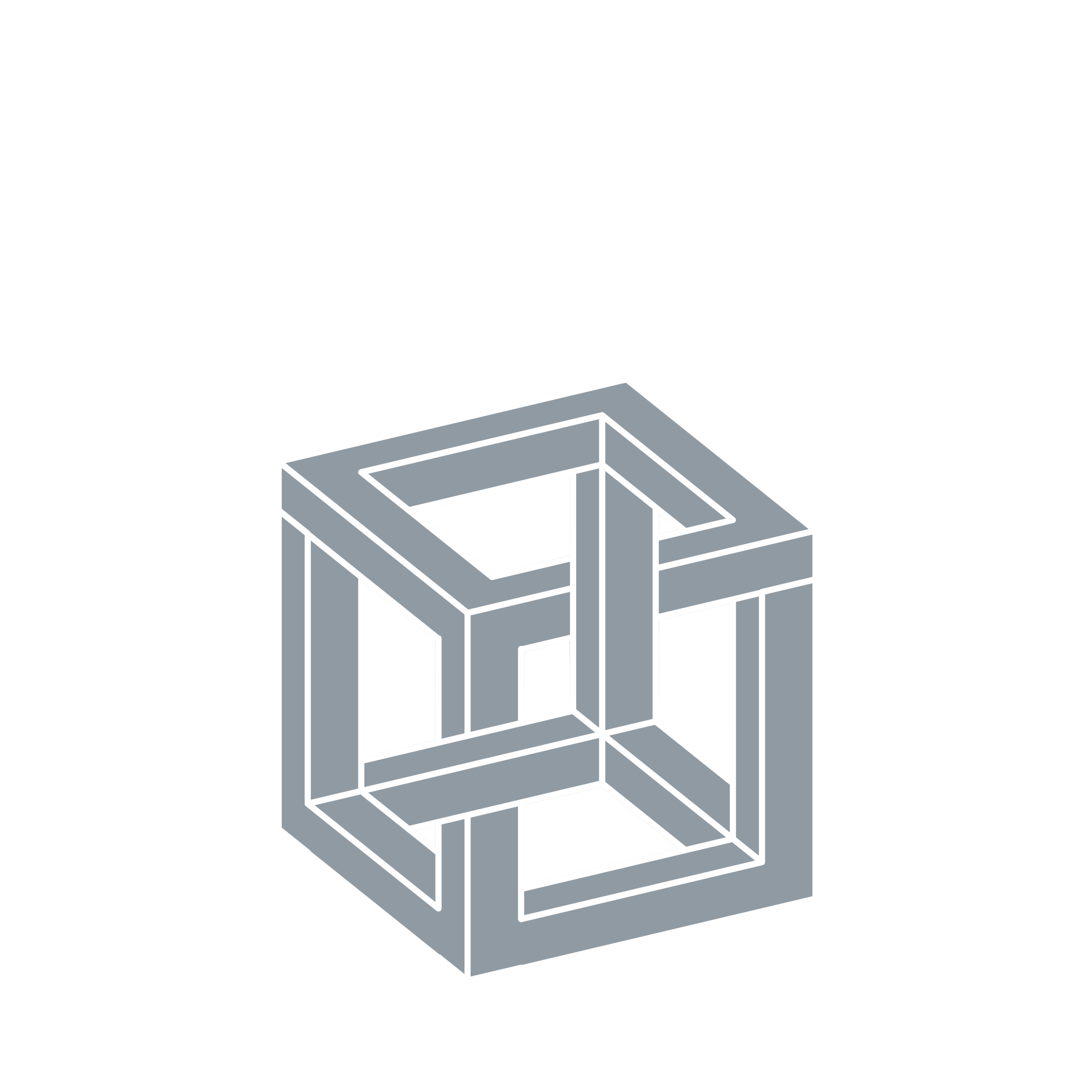 Website Design | Graphic Design