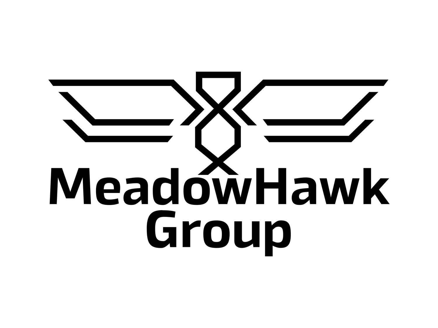 MeadowHawk Group, LLC