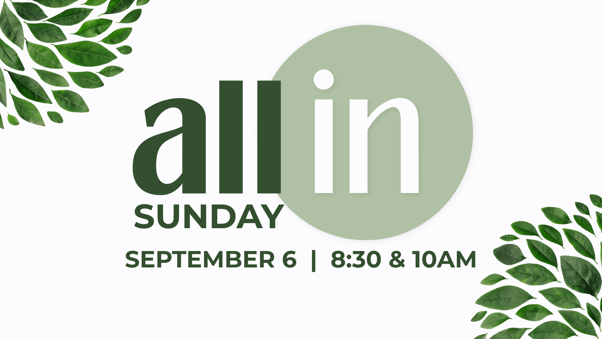 All In Sunday