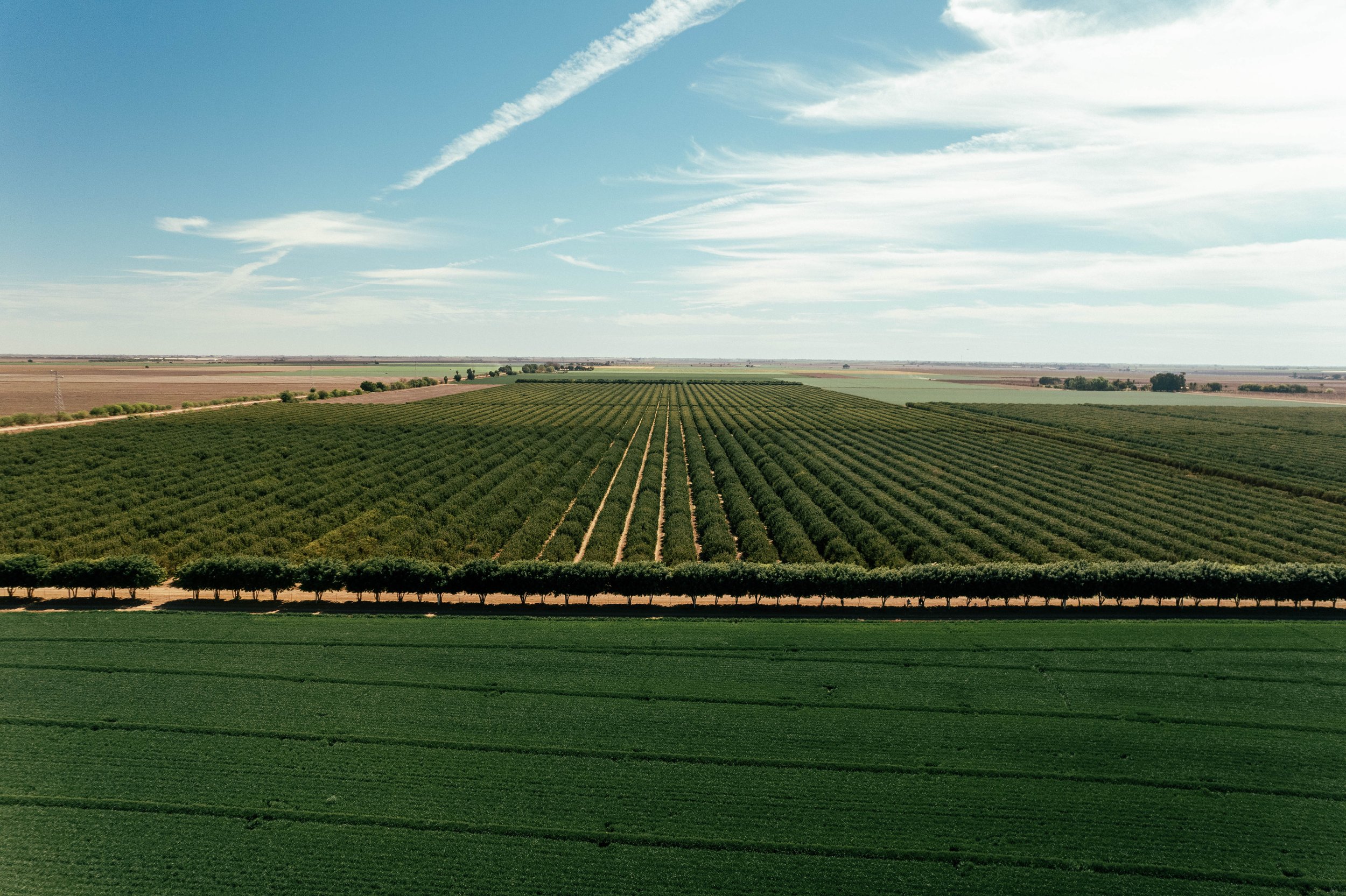 RCF Obregon (Stock Fotos)-13.jpg