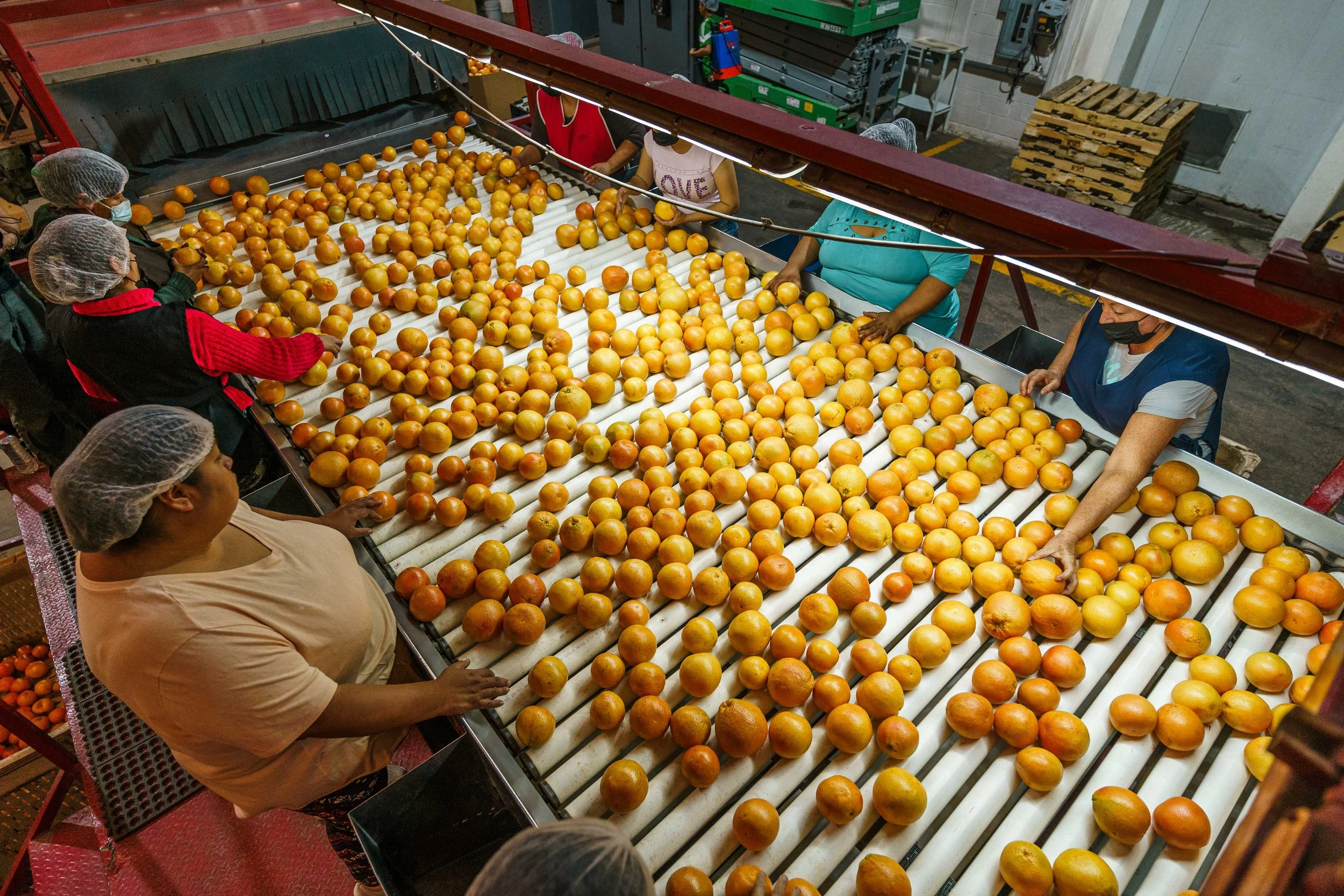 RCF Obregon (Stock Fotos)-474.jpg