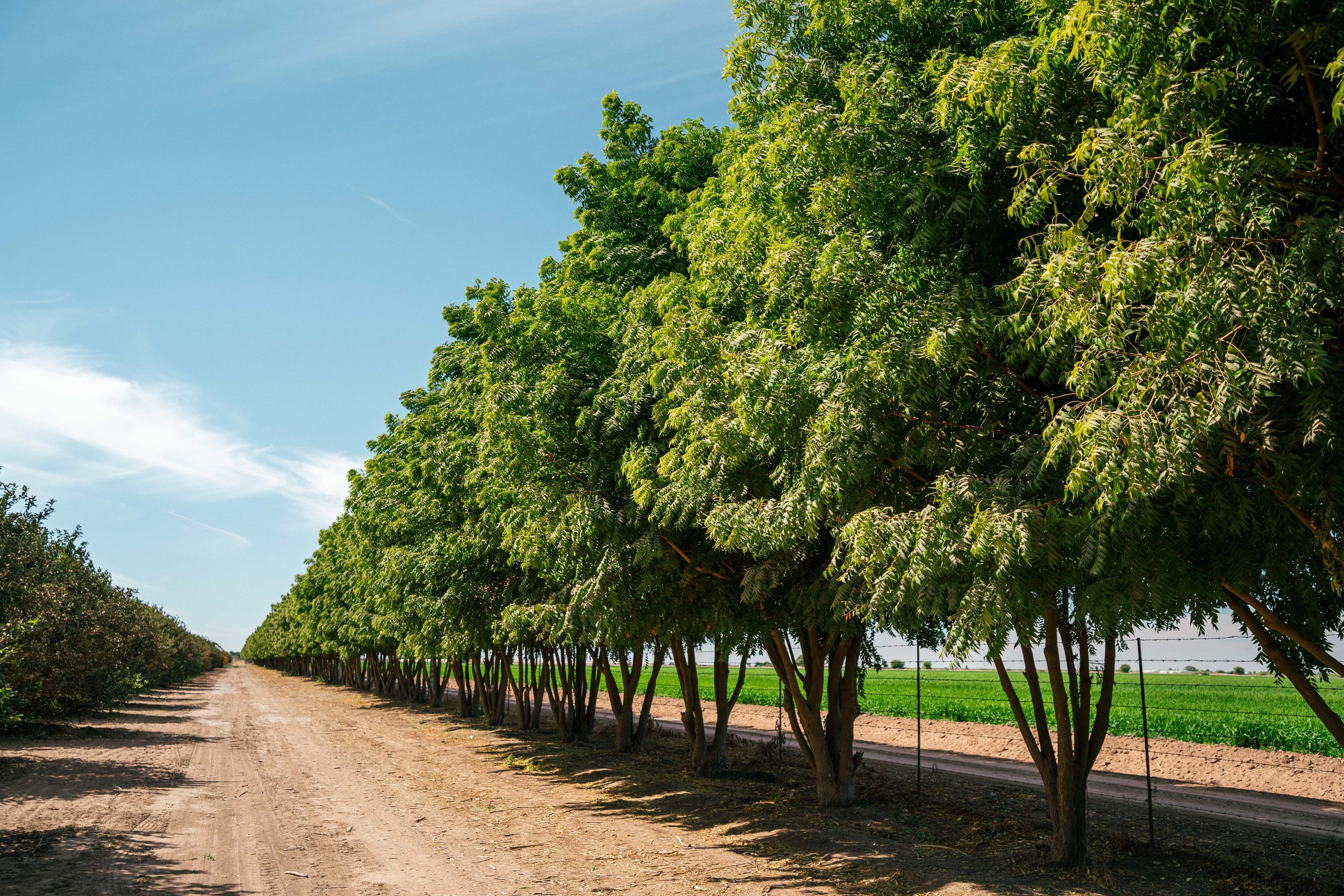 RCF Obregon (Stock Fotos)-24.jpg