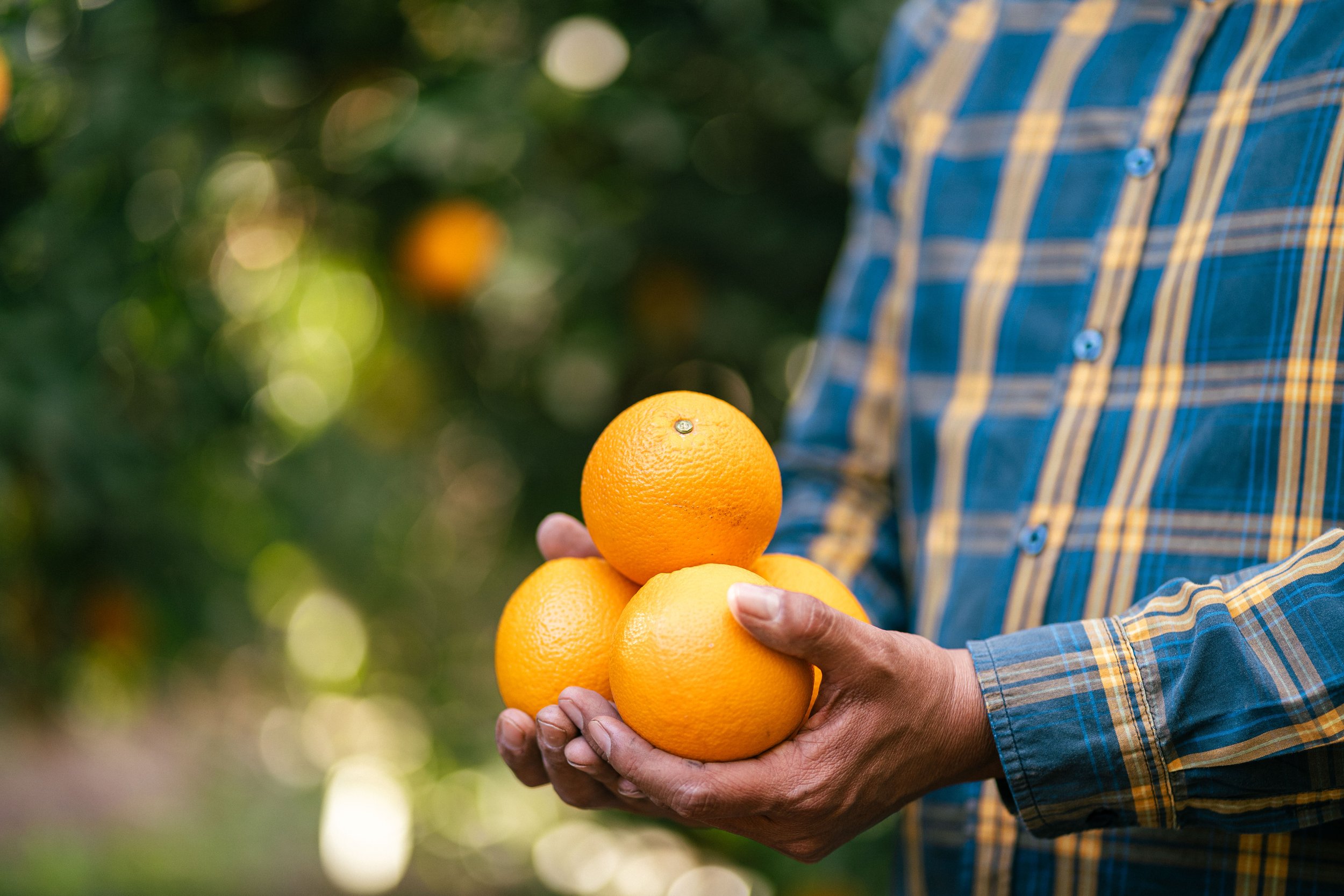 RCF Obregon (Stock Fotos)-228.jpg