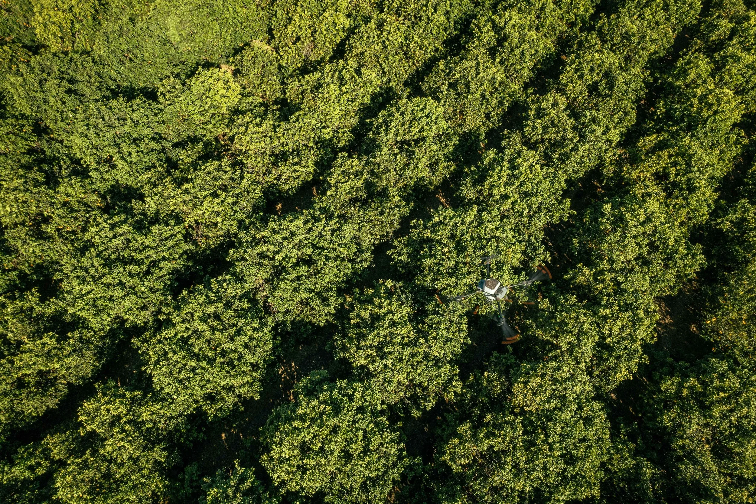 RCF Obregon (Stock Fotos)-304.jpg