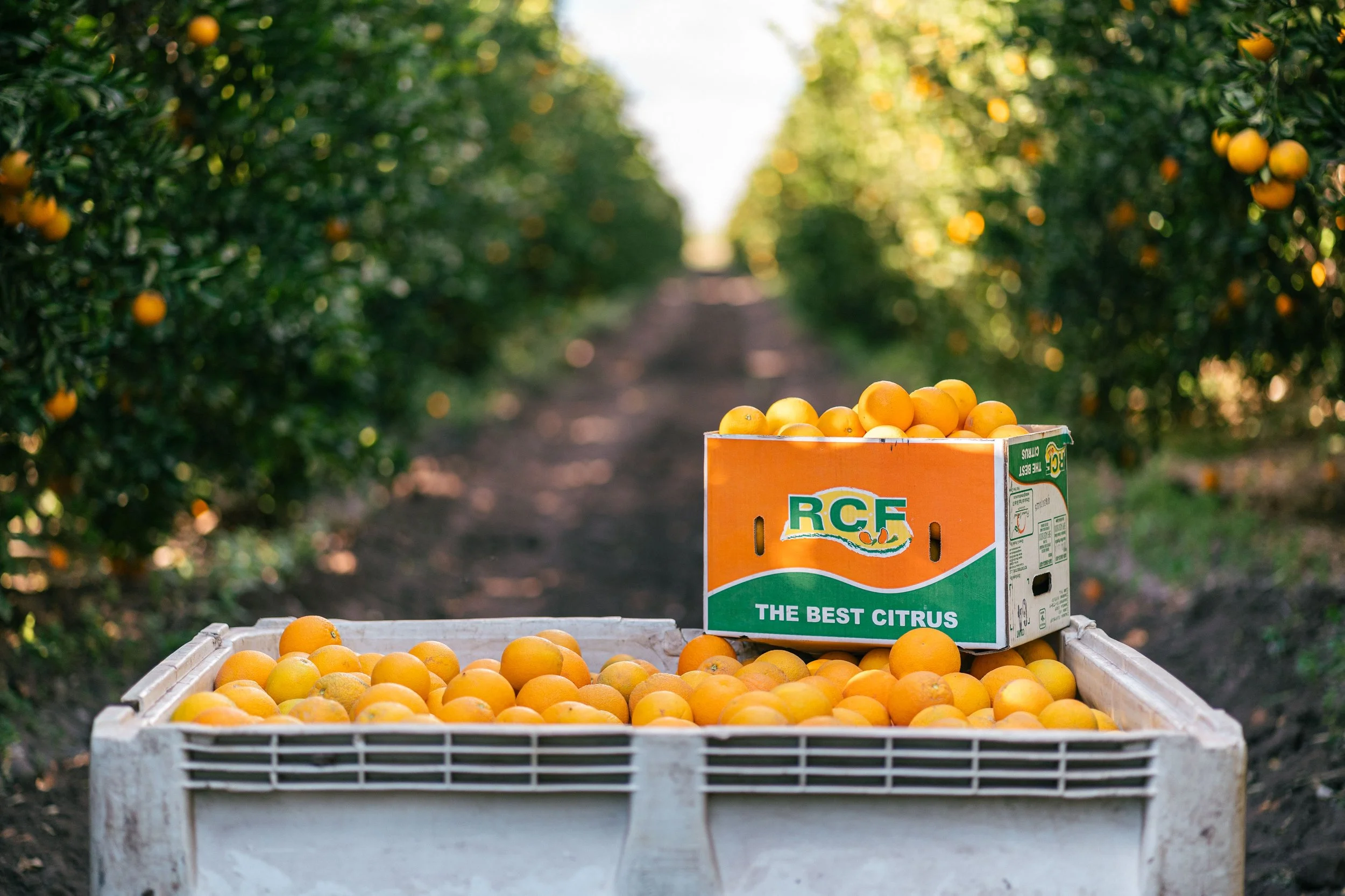 RCF Obregon (Stock Fotos)-185.jpg