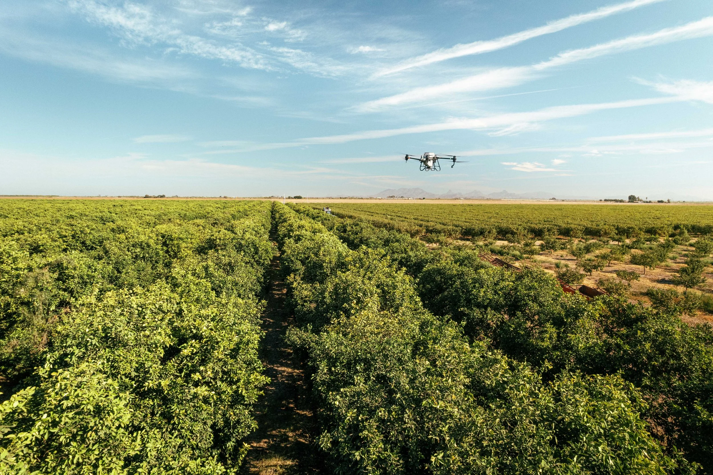 RCF Obregon (Stock Fotos)-295.jpg