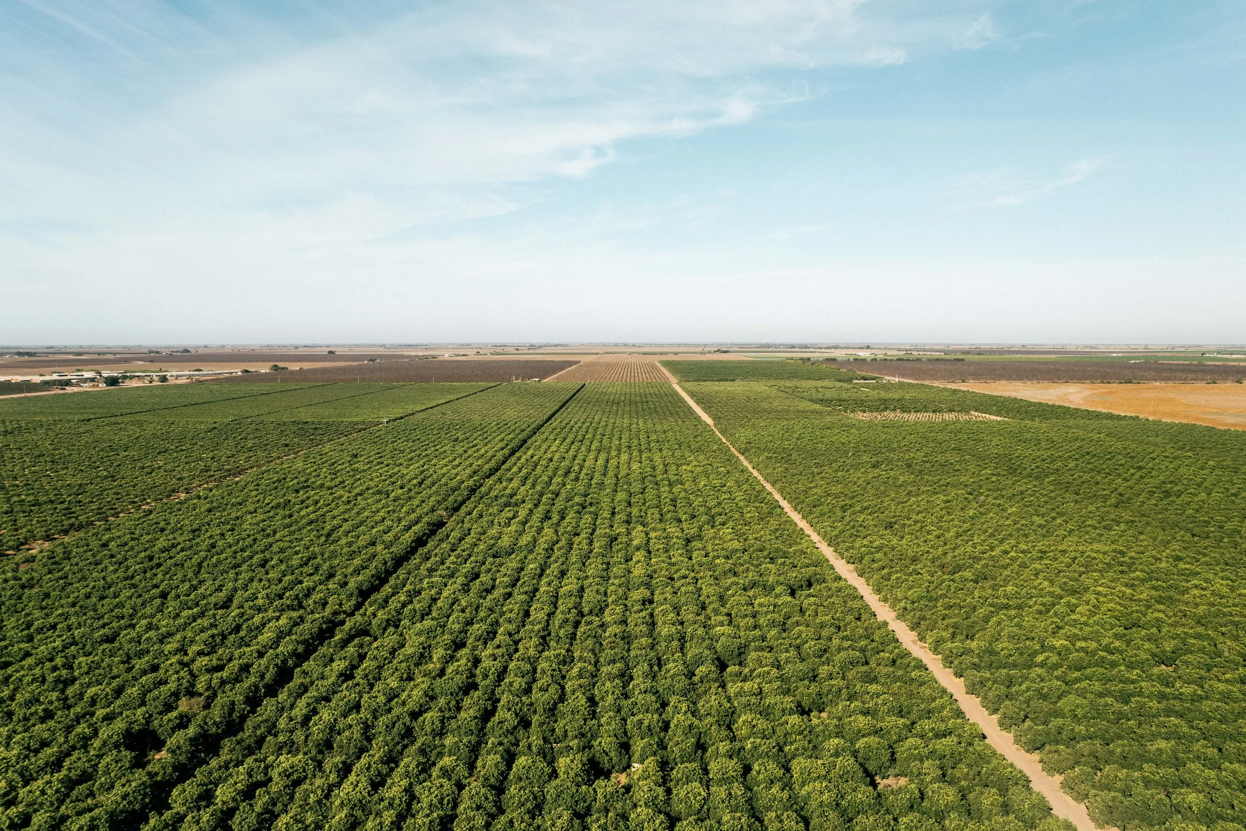 RCF Obregon (Stock Fotos)-319.jpg