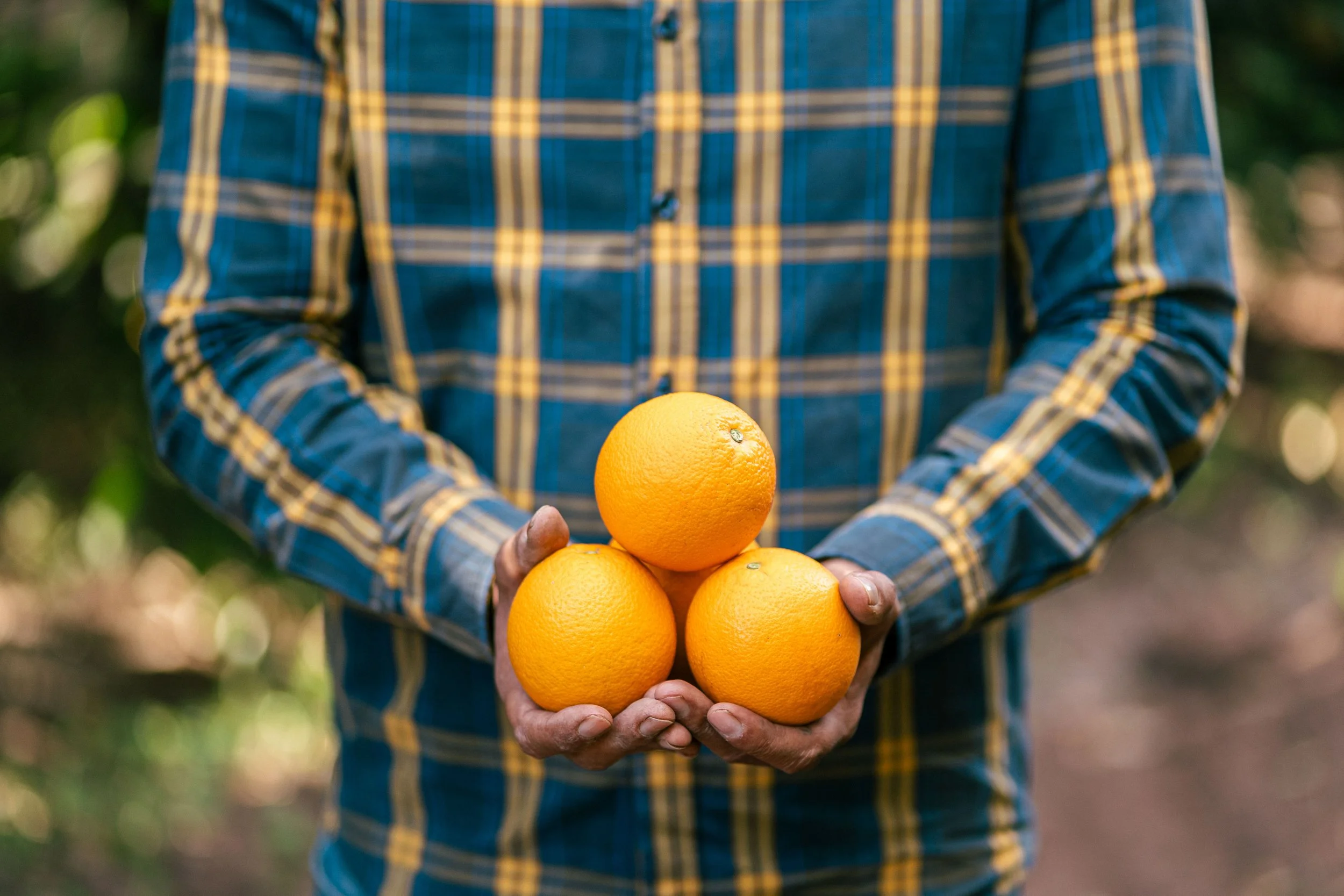 RCF Obregon (Stock Fotos)-221.jpg