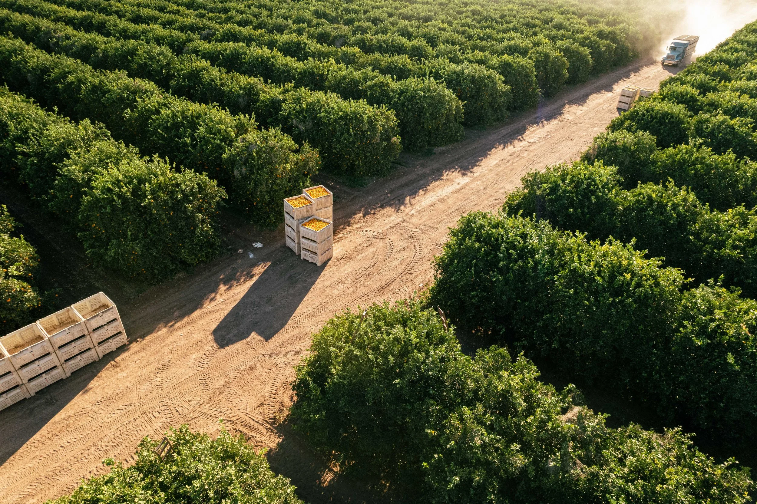 RCF Obregon (Stock Fotos)-239.jpg