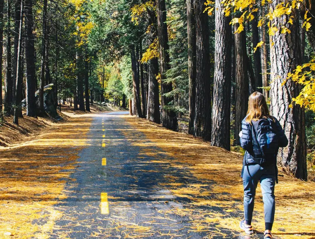 Stepping Up Your Creativity: Walking, Meditation, and the Creative Brain (Source: Brain World Magazine)