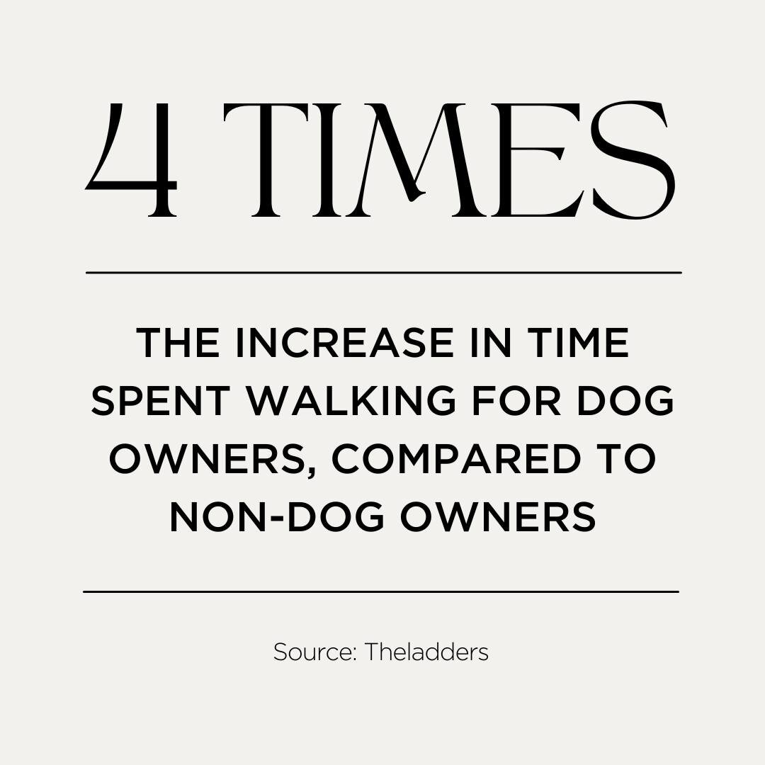 For all the #WalkStars with pets&mdash;did you know that dog owners walk about four times more than non-dog owners? Turns out that furry friends make great walking companions. 

Want to learn more stats about walking? Visit ThisMorningWalk.com/resour