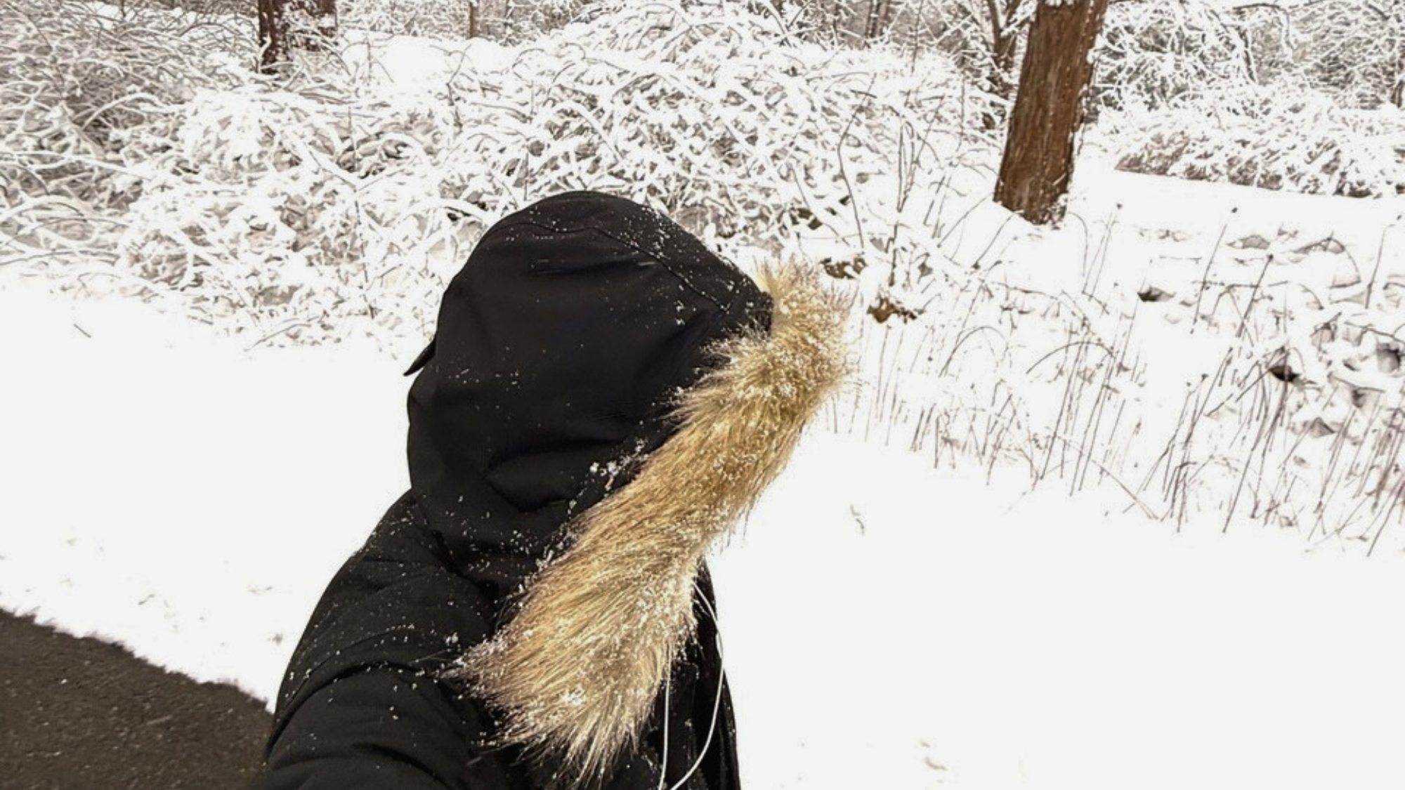 A Promise I Made to Myself