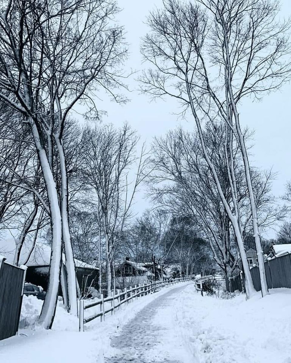 Not I, nor anyone else can travel that road for you.
You must travel it by yourself.
It is not far. It is within reach.
Perhaps you have been on it since you were born, and did not know. 
Perhaps it is everywhere - on water and land.
- Walt Whitman, 