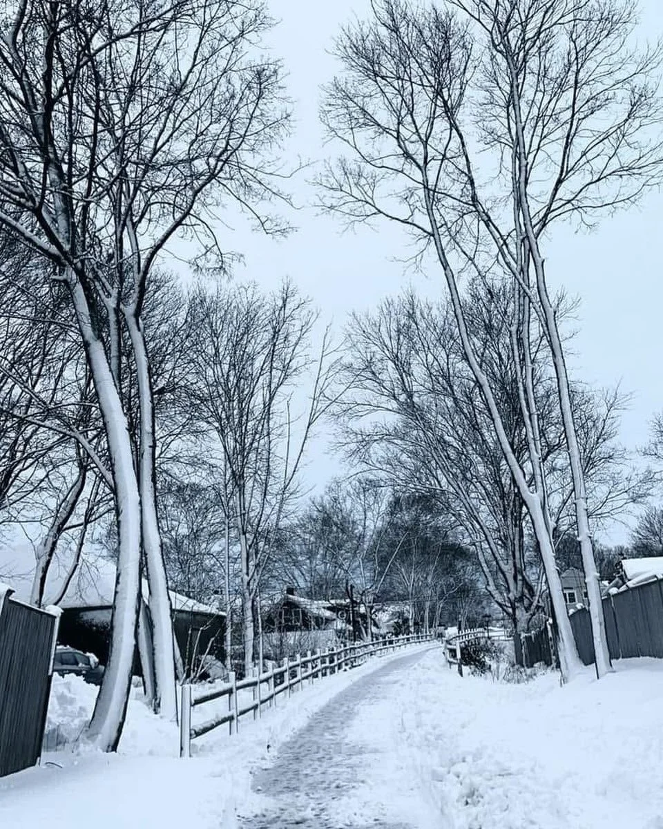 Not I, nor anyone else can travel that road for you.
You must travel it by yourself.
It is not far. It is within reach.
Perhaps you have been on it since you were born, and did not know. 
Perhaps it is everywhere - on water and land.
- Walt Whitman, 