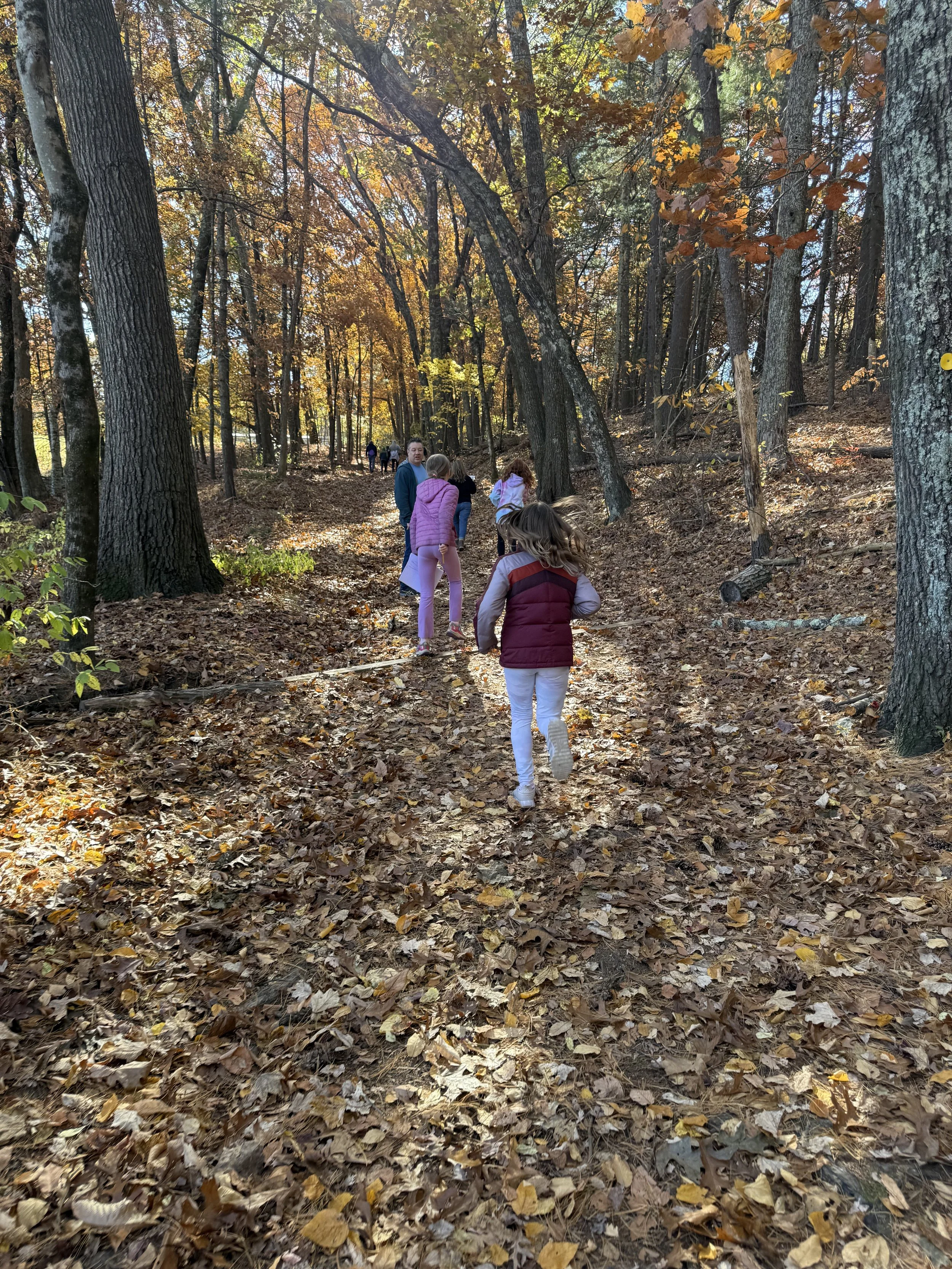 The Best Walking &amp; Hiking Trails in and Around Concord