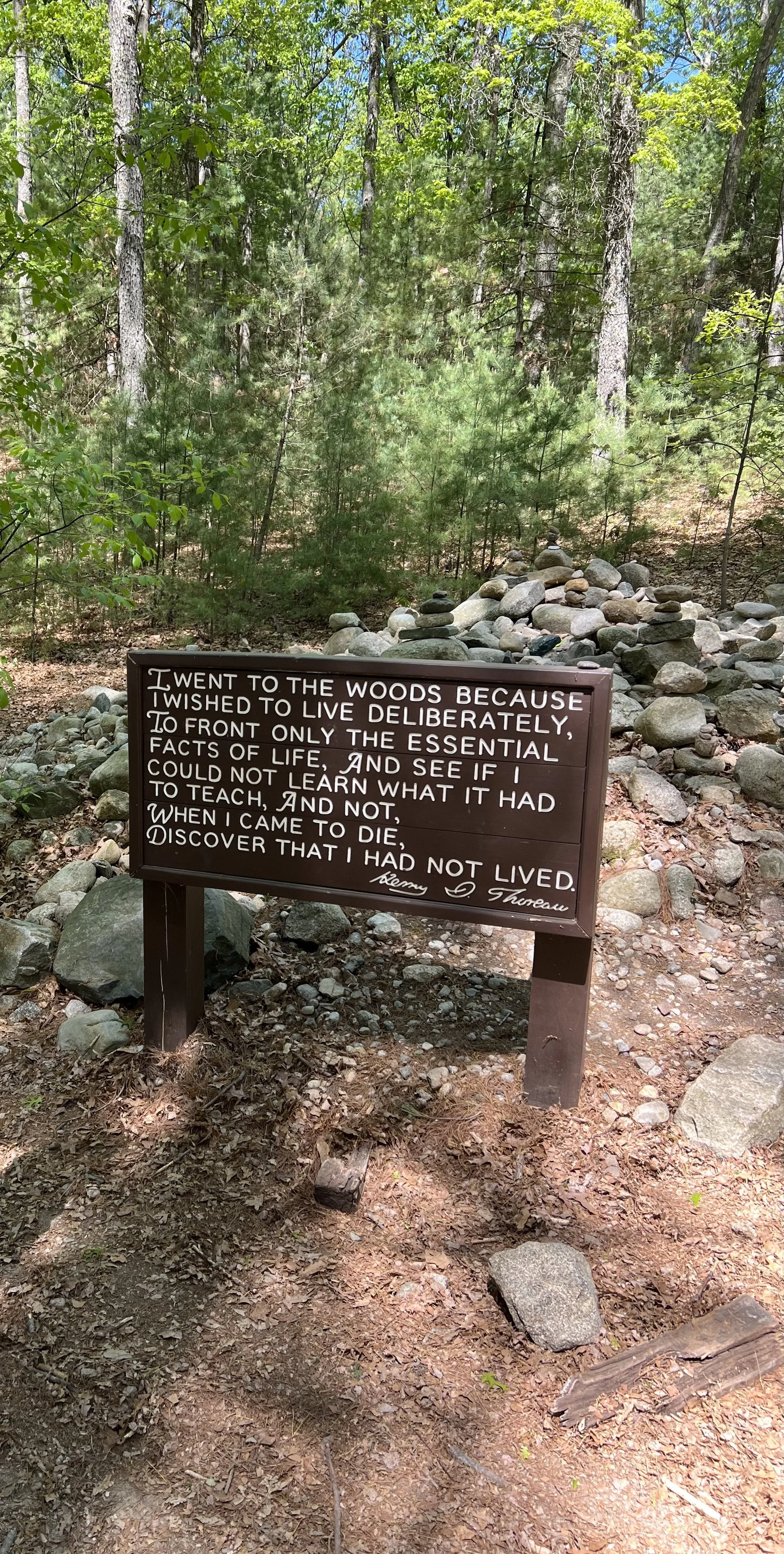 Exploring Walden Pond: A Local Favorite