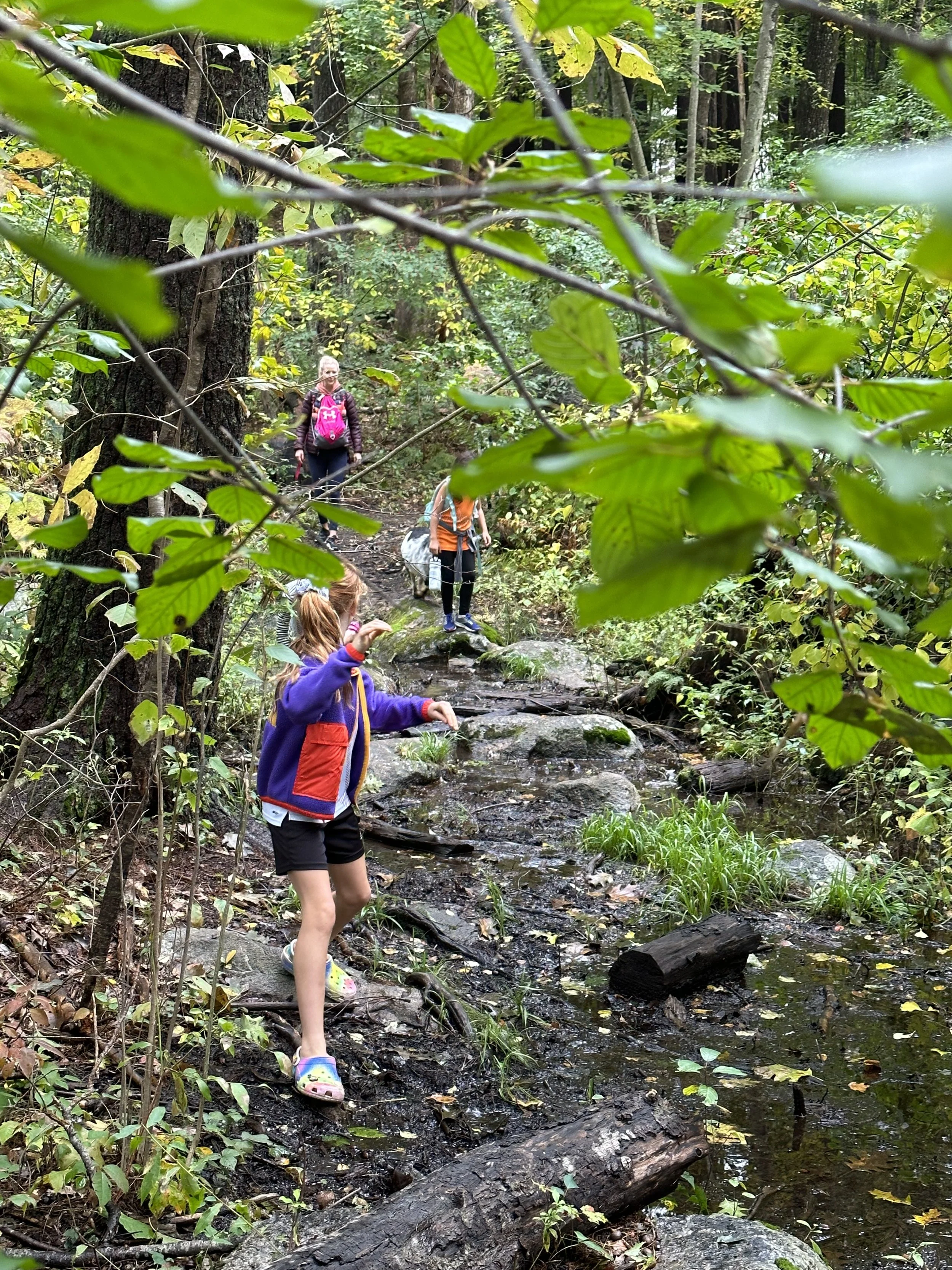 Weekend Activities in Concord for All Ages