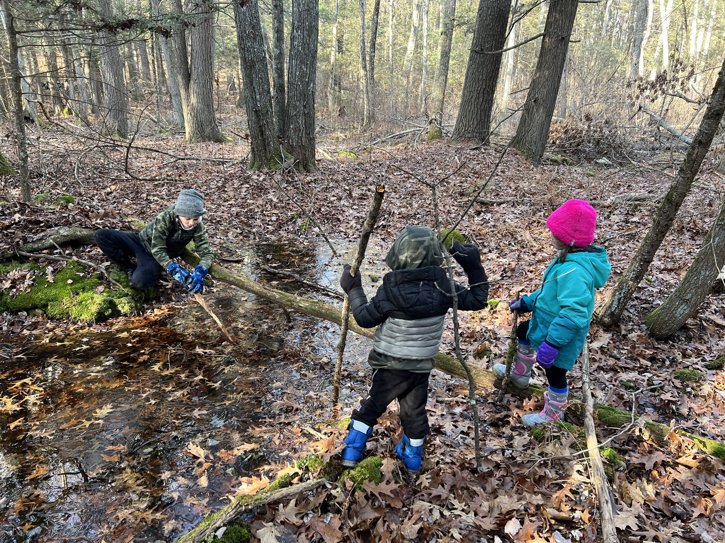 Best Outdoor Spots in Concord