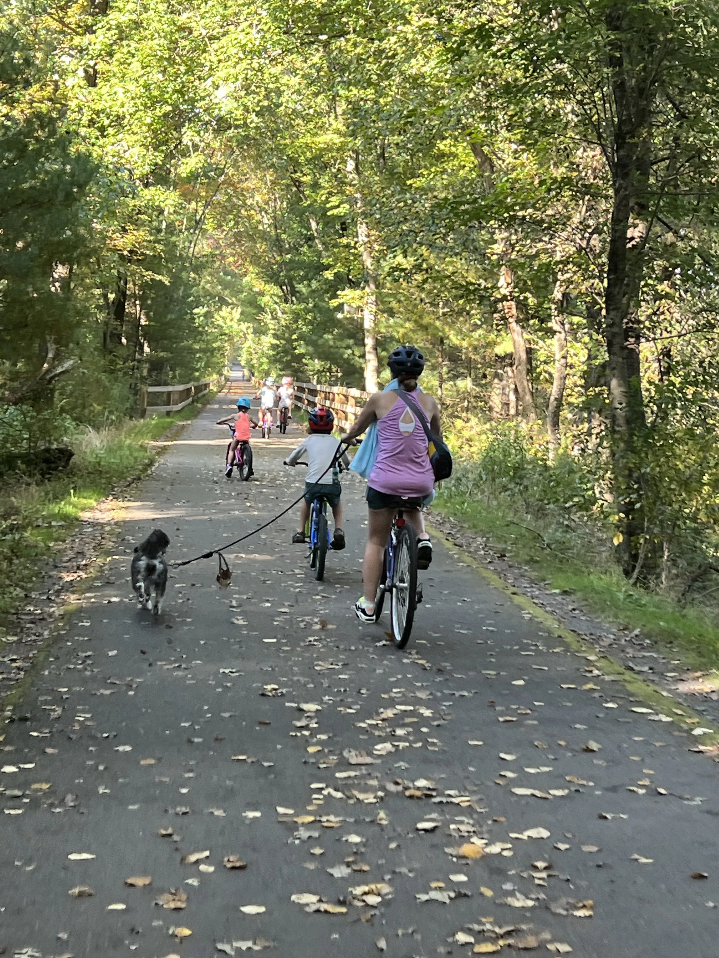 Living Near the Bruce Freeman Rail Trail