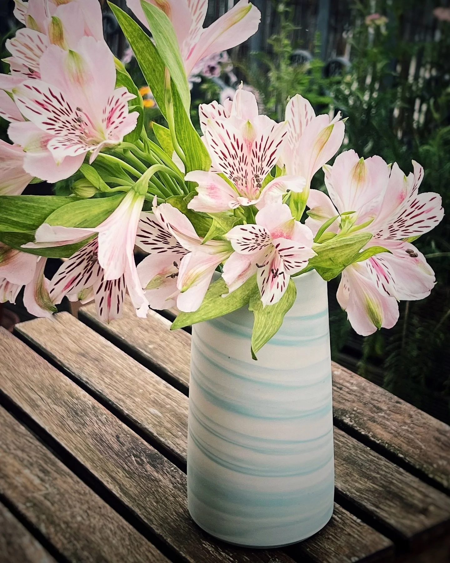 T&Ouml;PFERMARKT in JENA 
25. &amp; 26. Juli

☀️⛱️🍶🌸🛍️

wir sehen uns 🙌

#t&ouml;pfermarkt #porzellan #vasewithflowers #madewithlove #shoplocal @jena.kultur