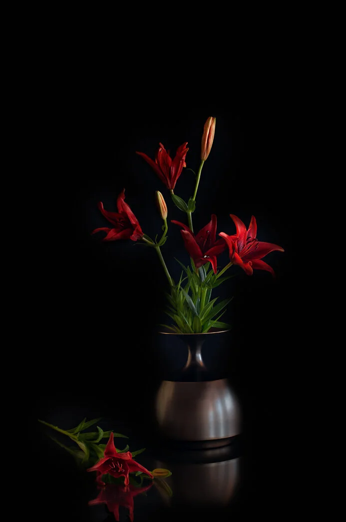 Asian Burgundy Lily