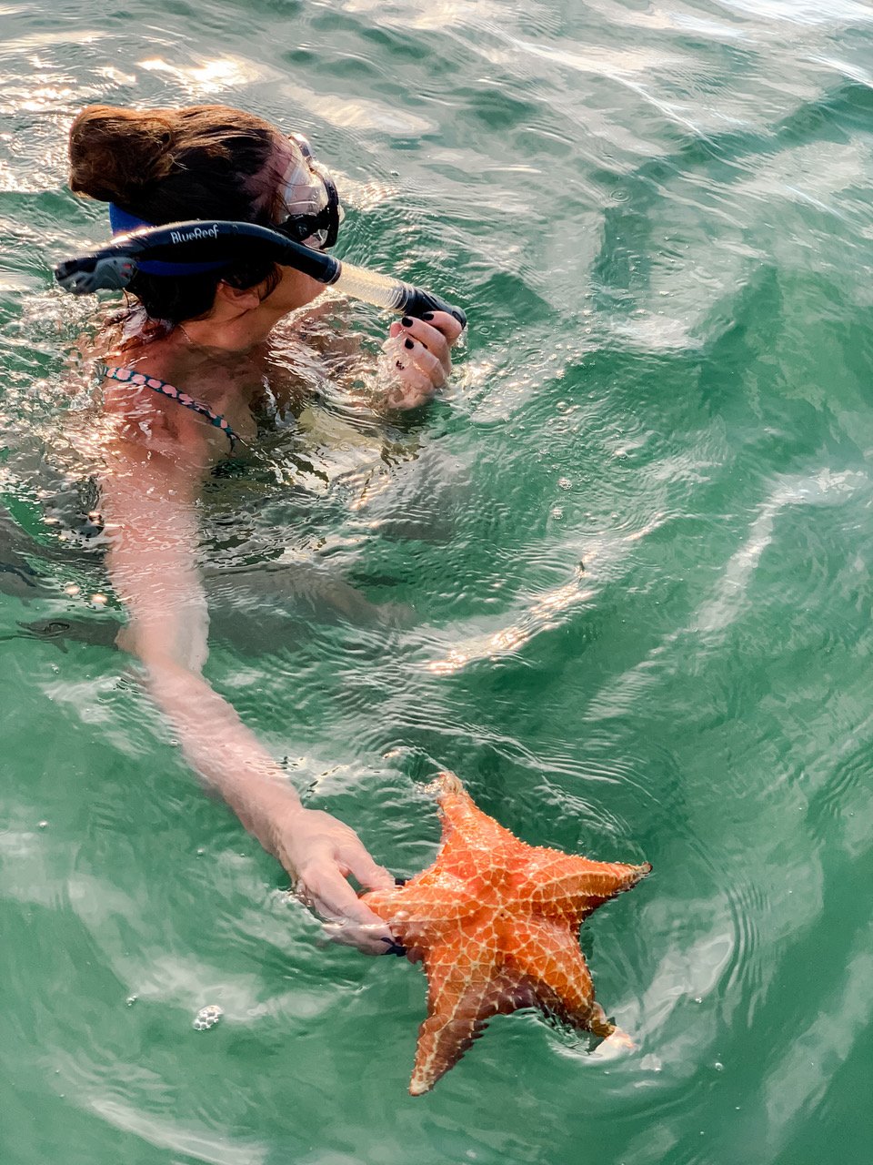 snorkeling in cartagena