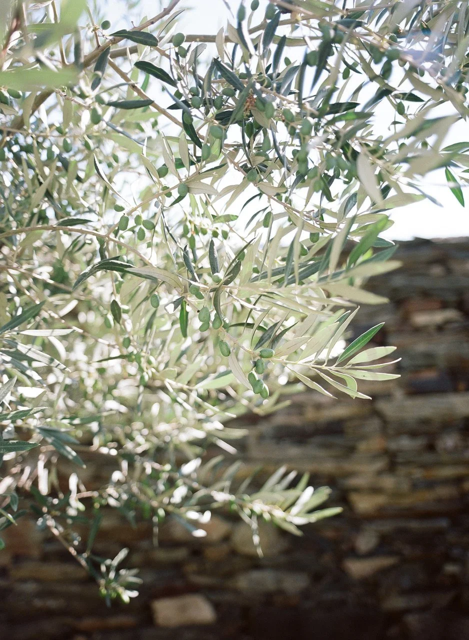  Morgadio da Calcada  a 17th century property nestled in the tiny town of Provensende by Liz Banfield 