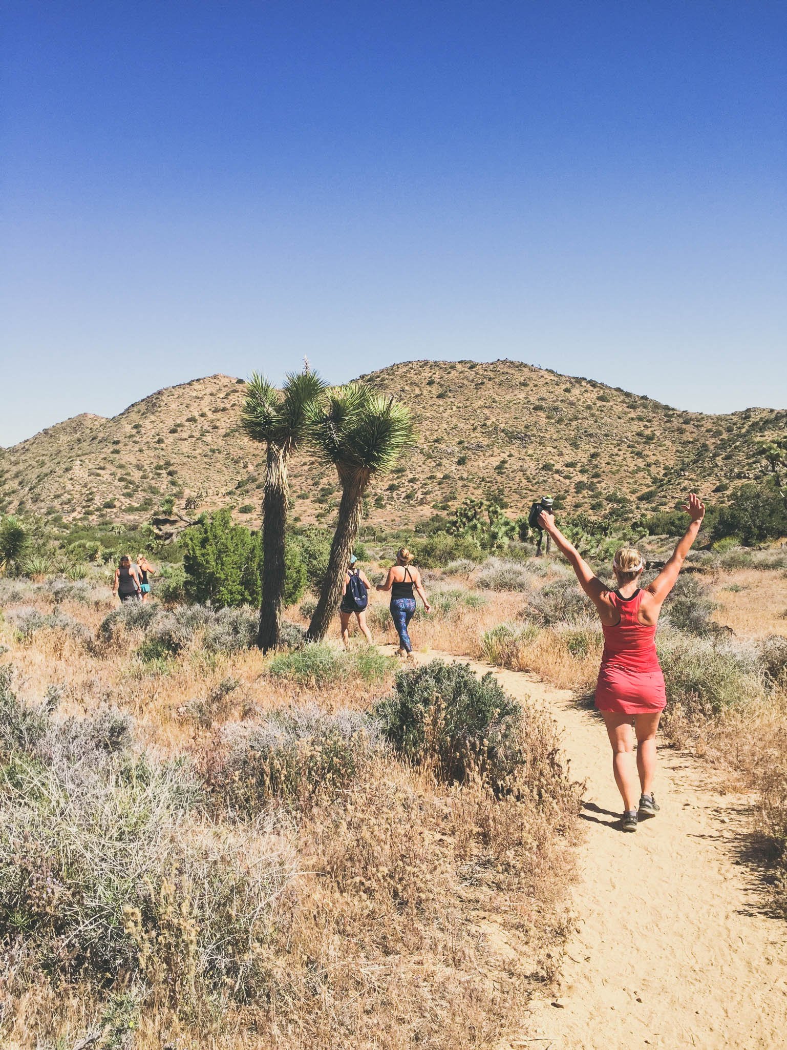 Best Hiking In Palm Springs.jpg