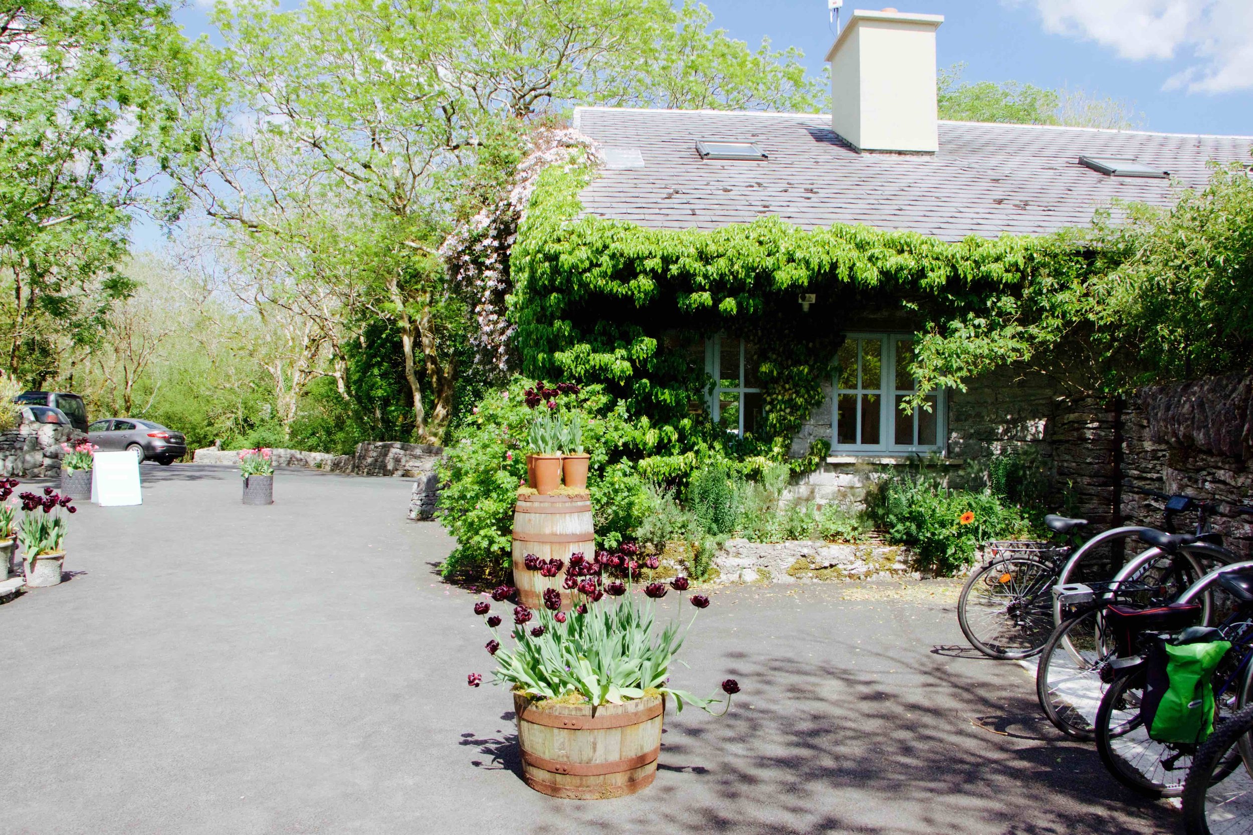 The Burren Perfumery &amp; Tea Rooms