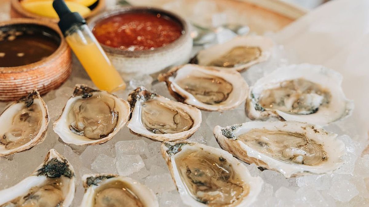 Ordinary oysters(1).jpeg