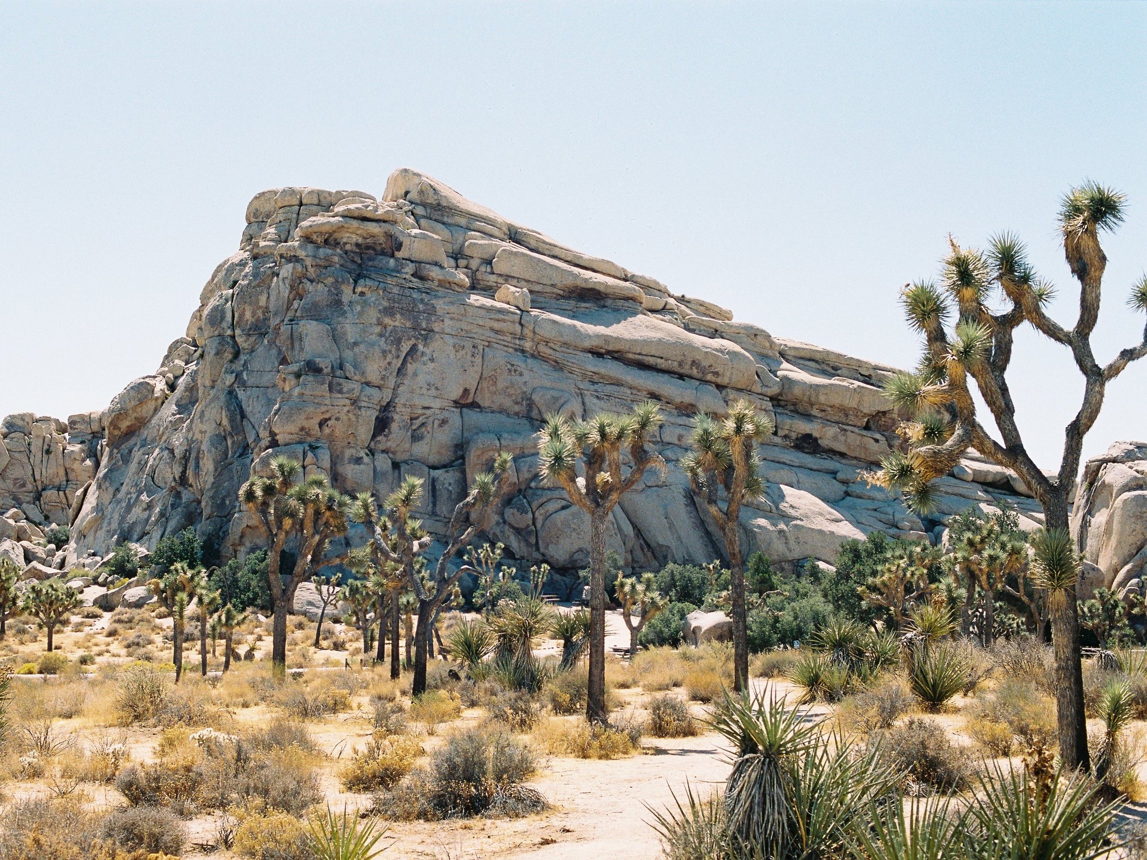 The inside guide to Palm Springs, California's cinematic desert getaway