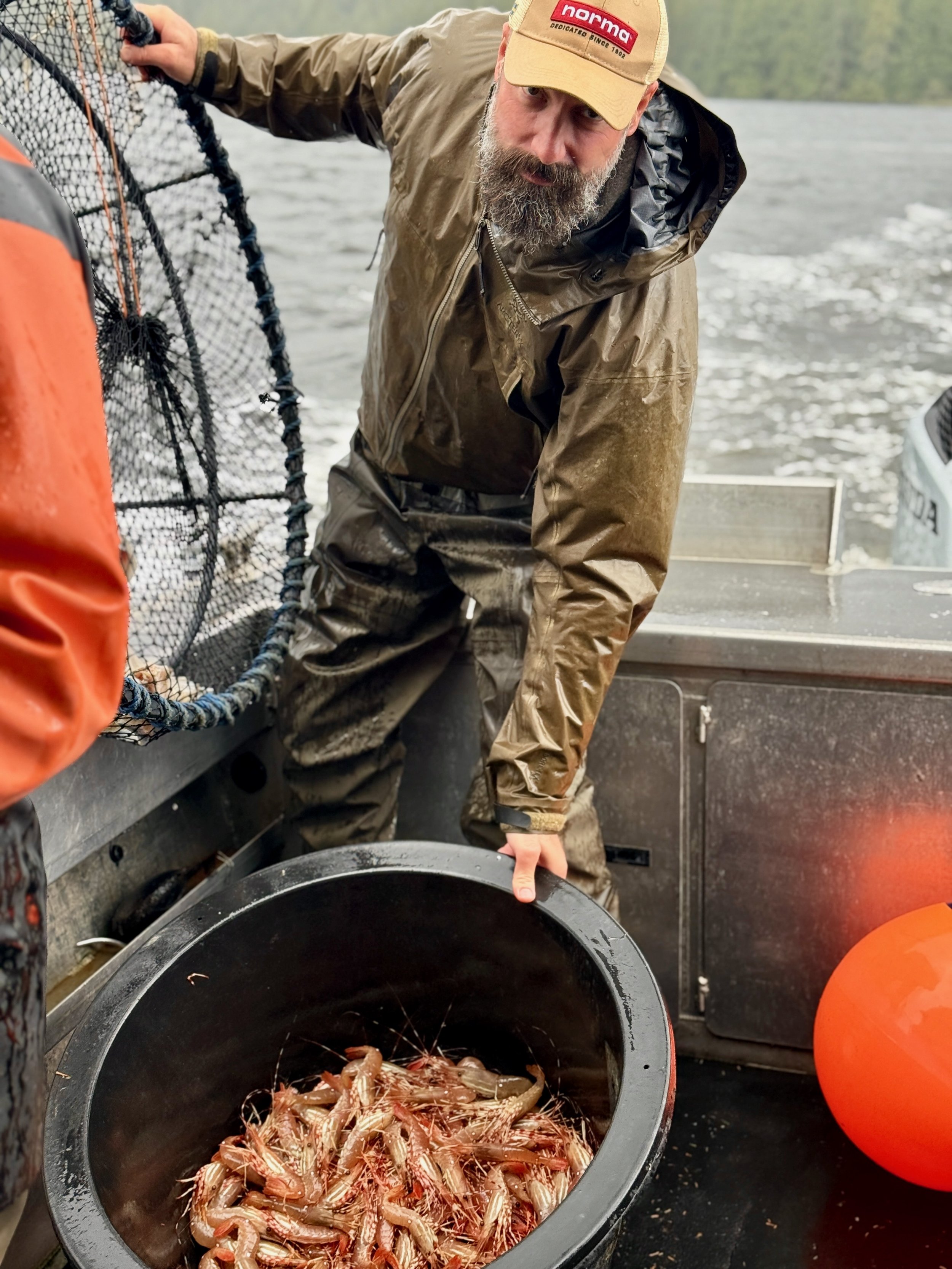 Guest helps pull shrimp pot from the ocean for shrimp to be eaten for dinner.