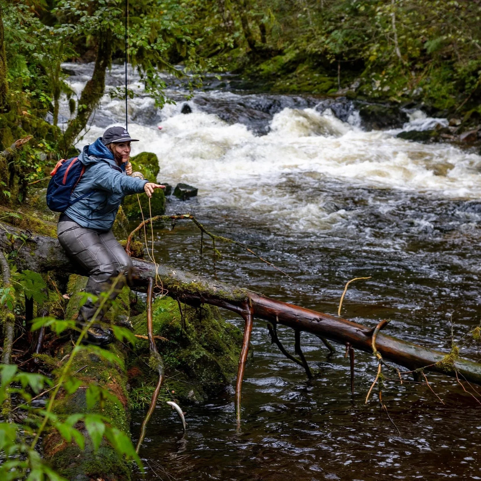 Client Untangling their line on a log in the stream