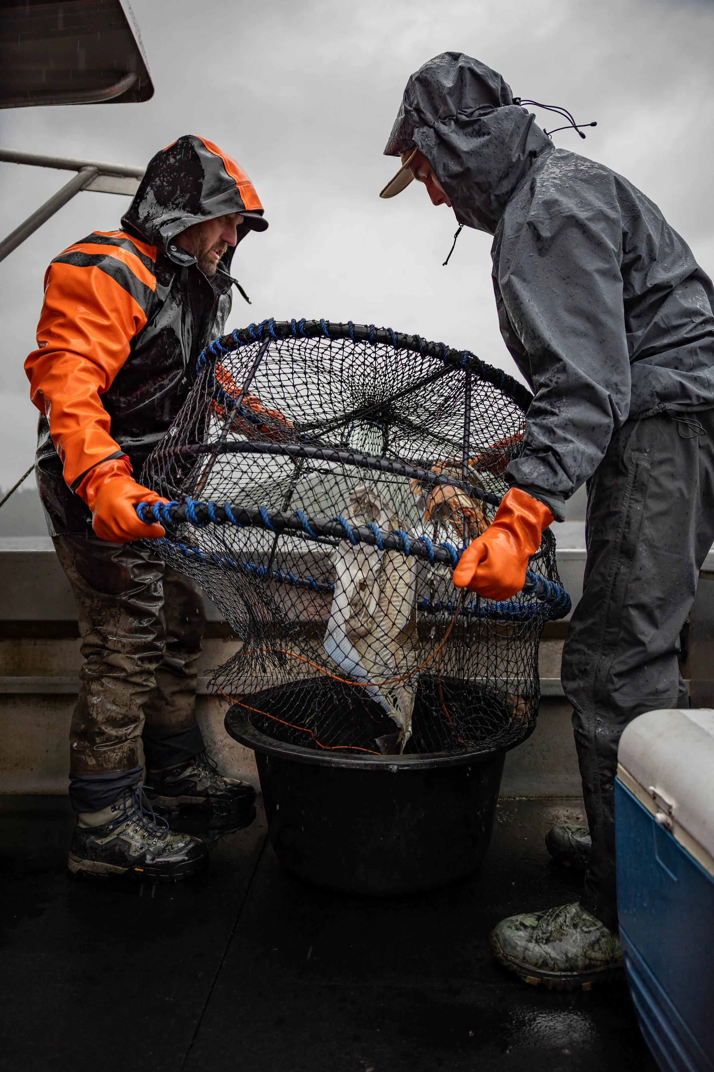 Chrome Chasers guides pulling a crab pot on the Chromagnum in the rain, Wrangell, Alaska