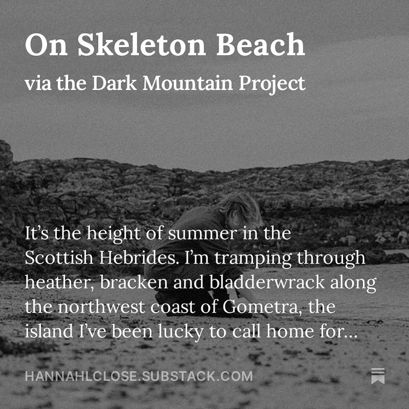 &lsquo;On Skeleton Beach&rsquo; via @thedarkmountainproject

&lsquo;Twice a month, when the sun, moon and earth are in line, the Atlantic exhales fully into the harbour, filling every last crevice with saltwater. Some hours later, it sucks itself bac