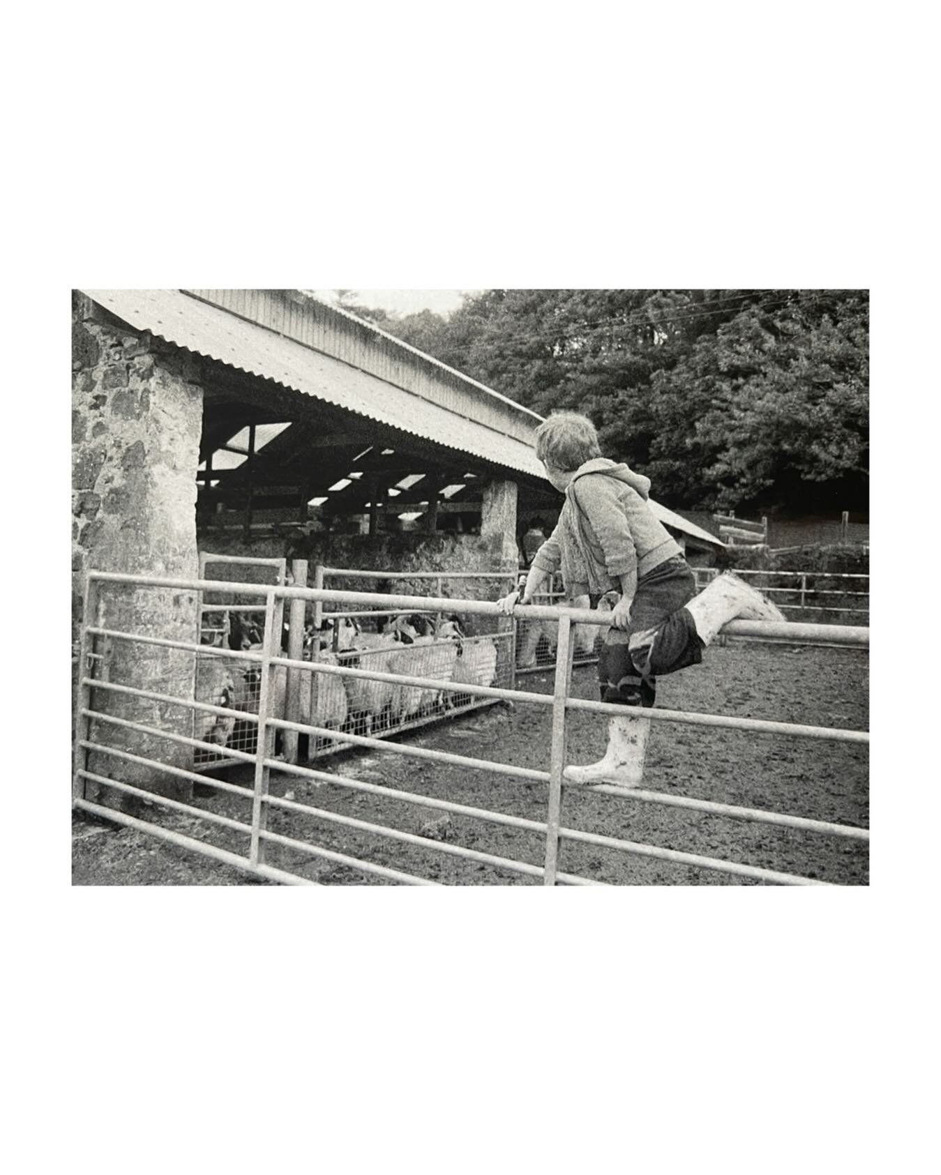 From the Gometra archive, @b.lazey_ ft. sheep.