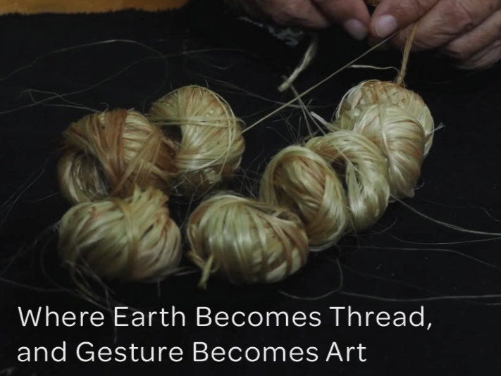 A Journey to Iriomote Japan with Morgane Baroghel-Crucq