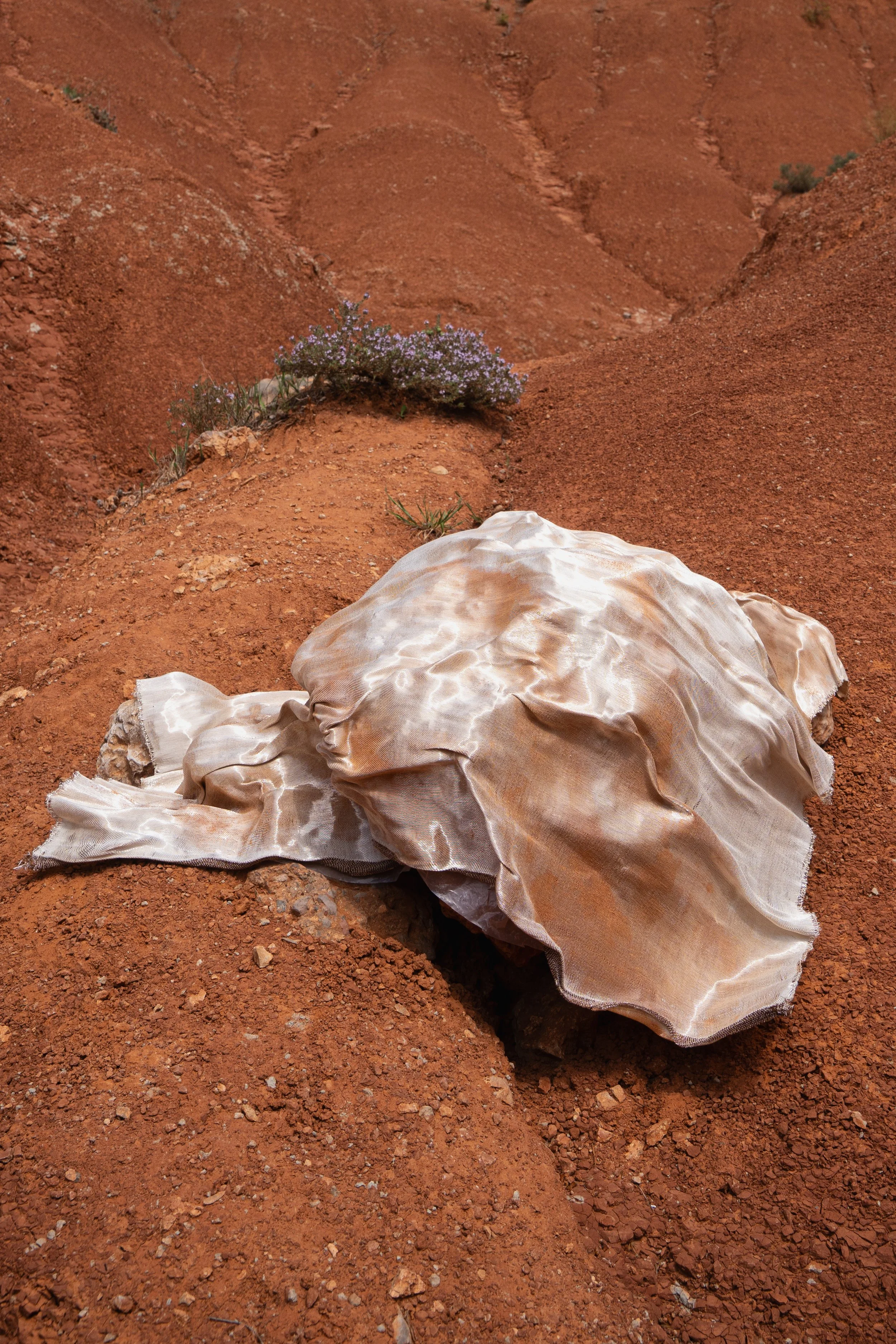 Morgane-BaroghelCrucq_©ClaudiaGoletto_77 (1).jpg