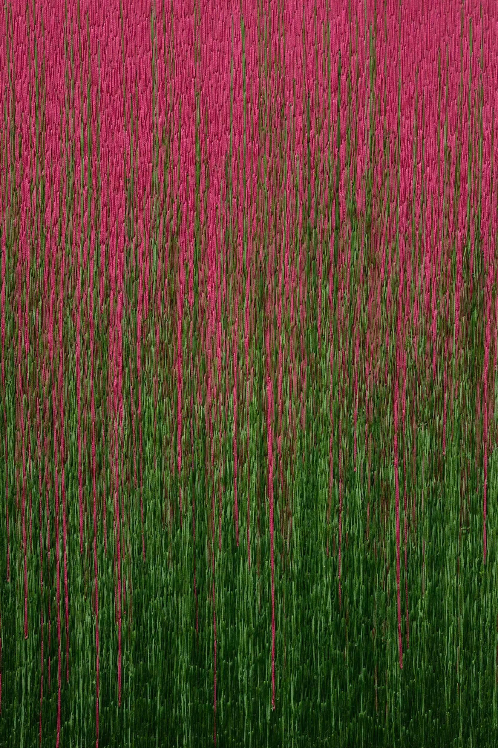 BASSE DEF Solenne Jolivet - oeuvres janvier 26-56.JPG