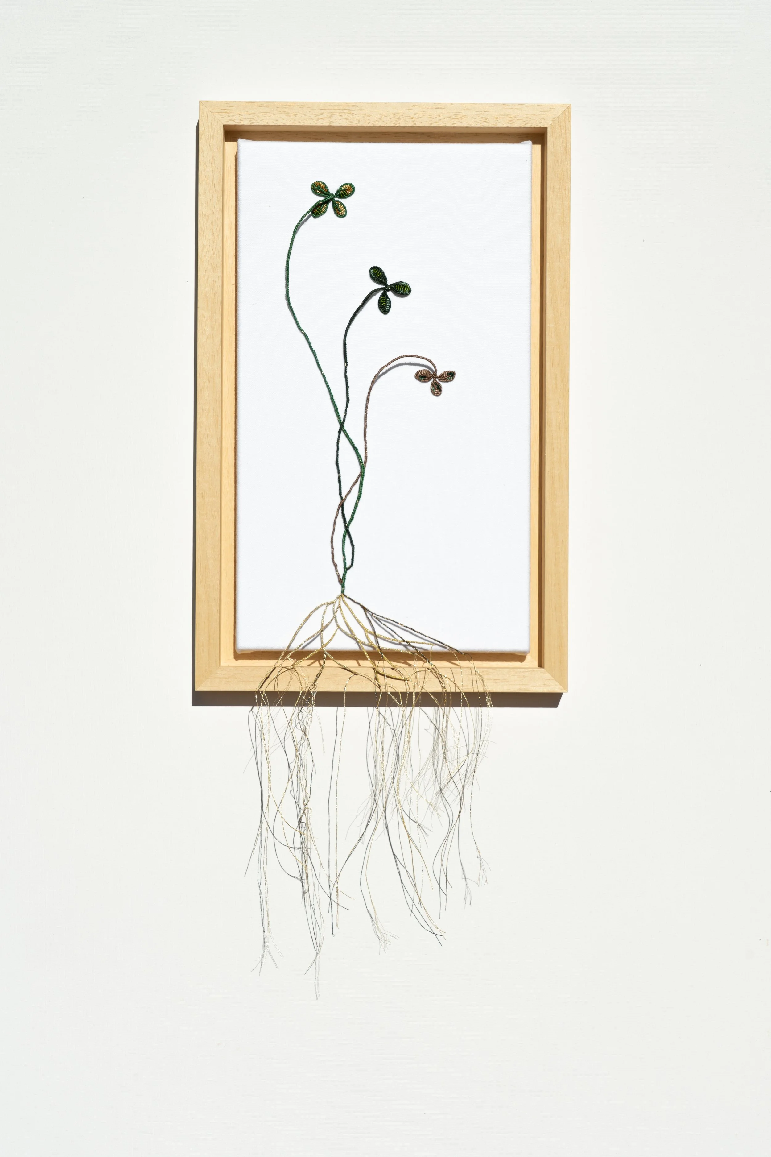 le soleil se leve a l'est.JPG