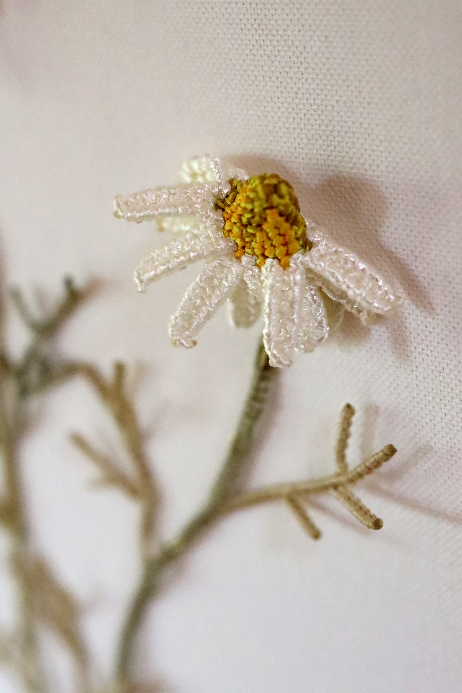 Les Marguerites - LP - CLOSE UP.png