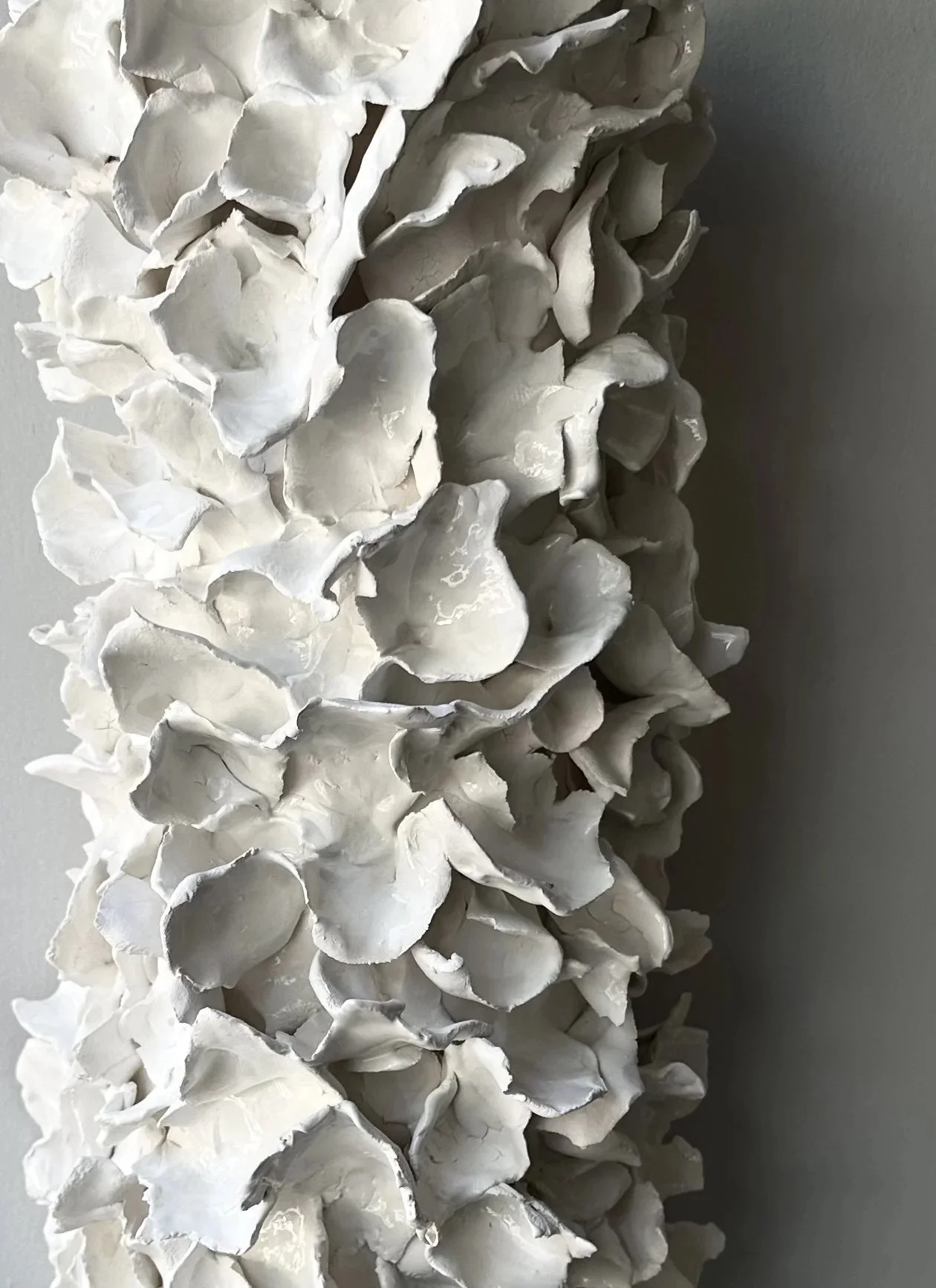 Seareef03-closeup.jpeg