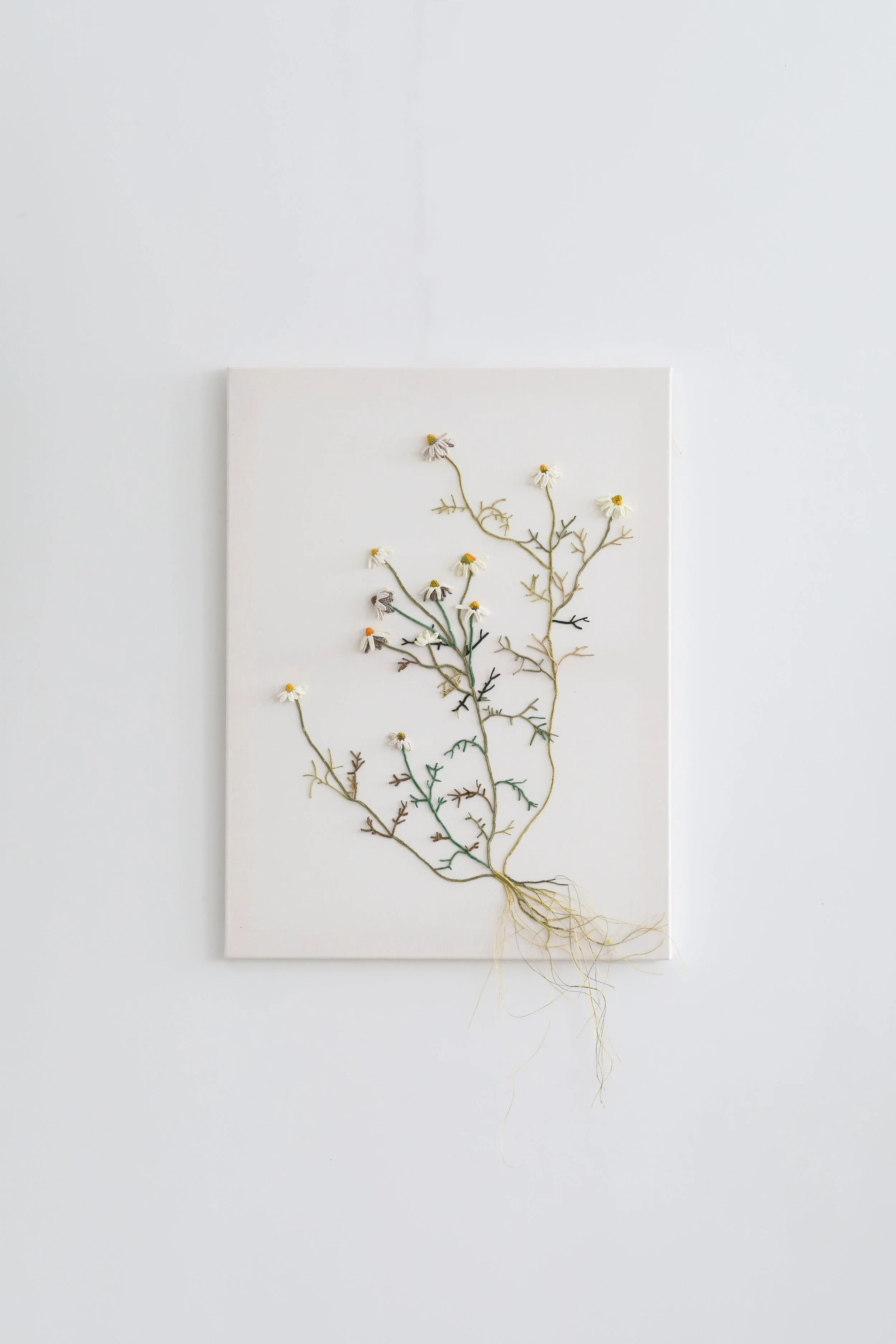 Laurentine Périlhou_Marguerites_Macramé sur toile BD Copyright Ludovic Maisant (1).jpg