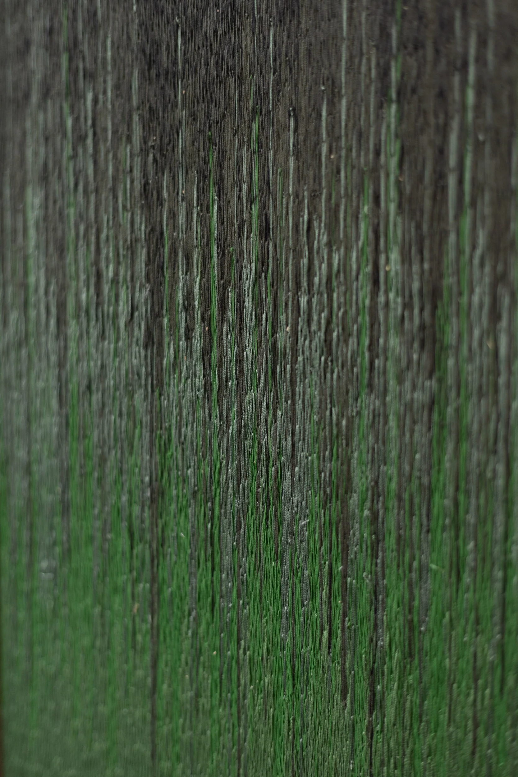 BASSE DEF Solenne Jolivet - oeuvres janvier 26-66.JPG