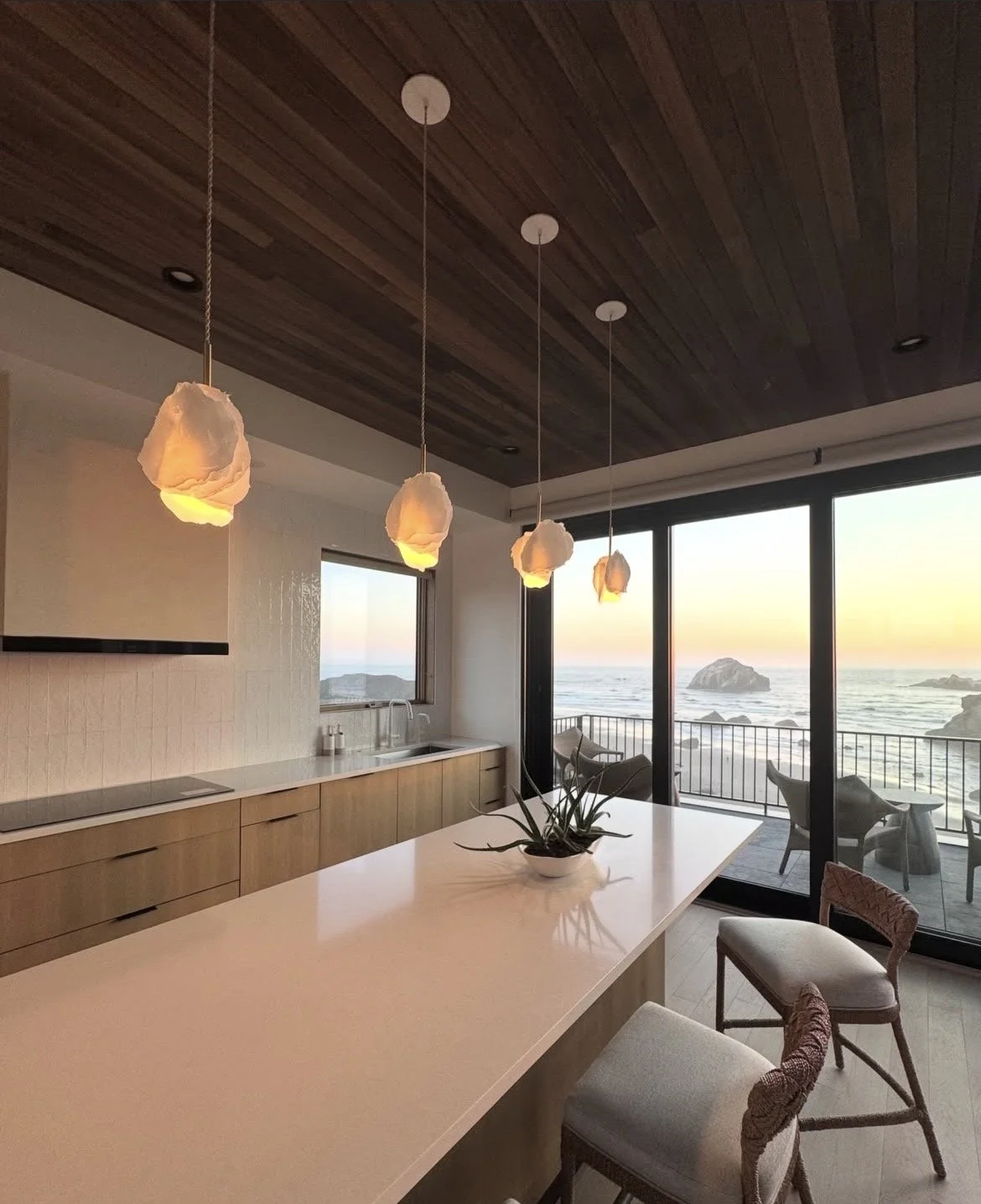 Fungia Hanging- design by terrafirmahome.jpg
