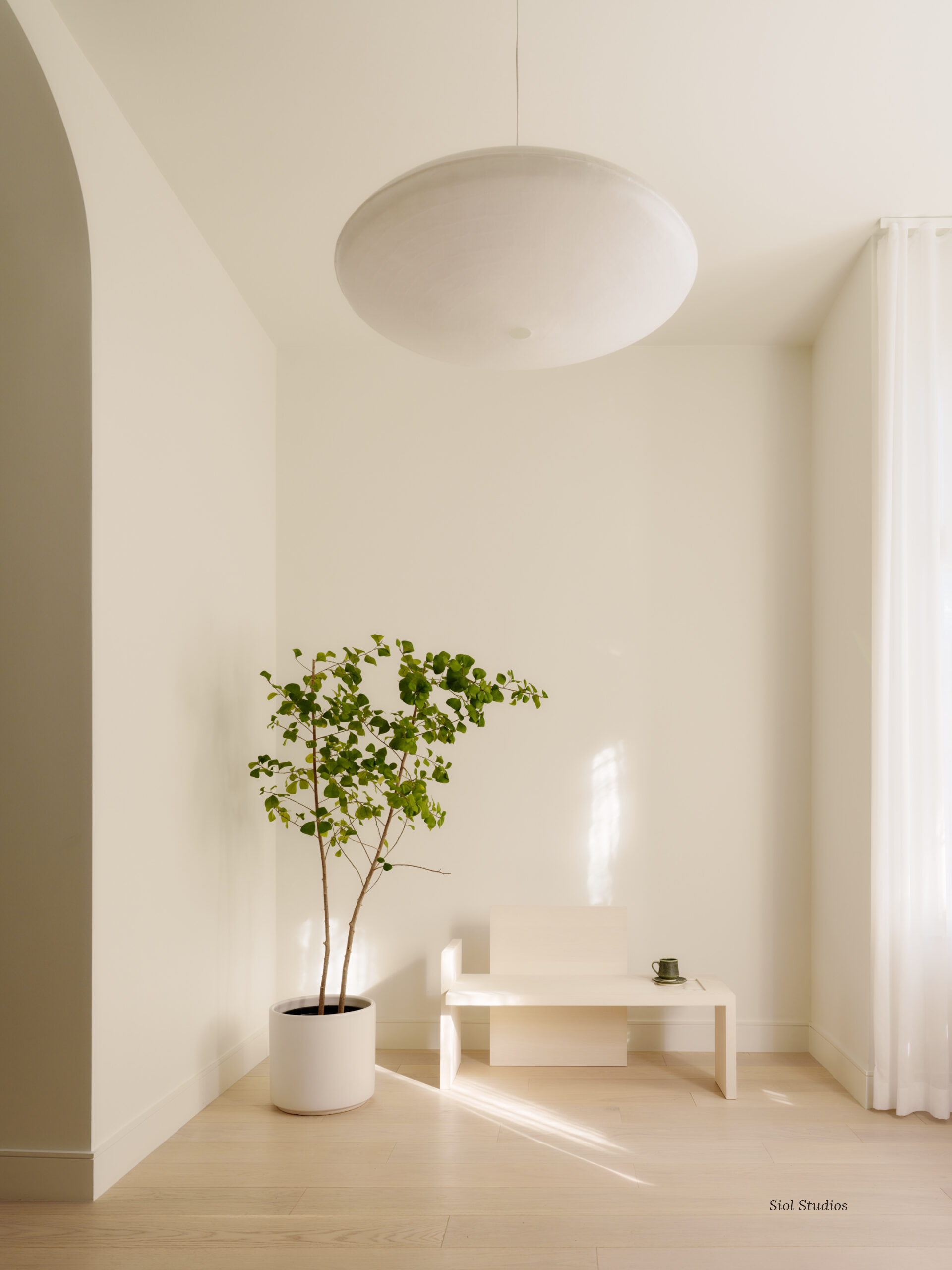 Zen Hanging - Siol design.png