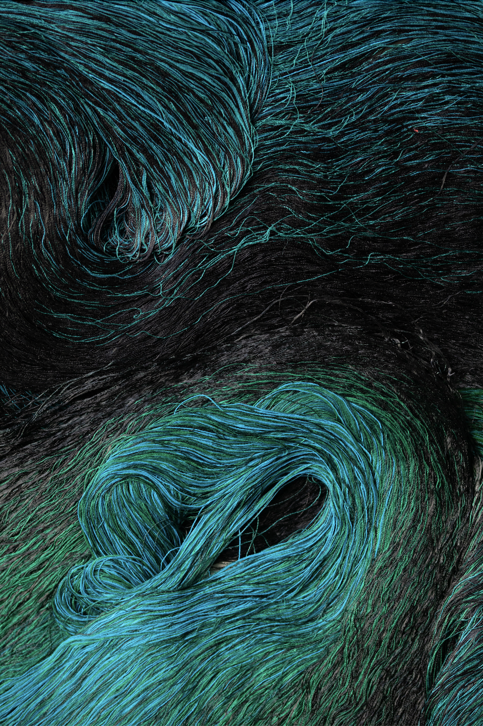 Bleunienn ar mor - solenne jolivet - detail.png