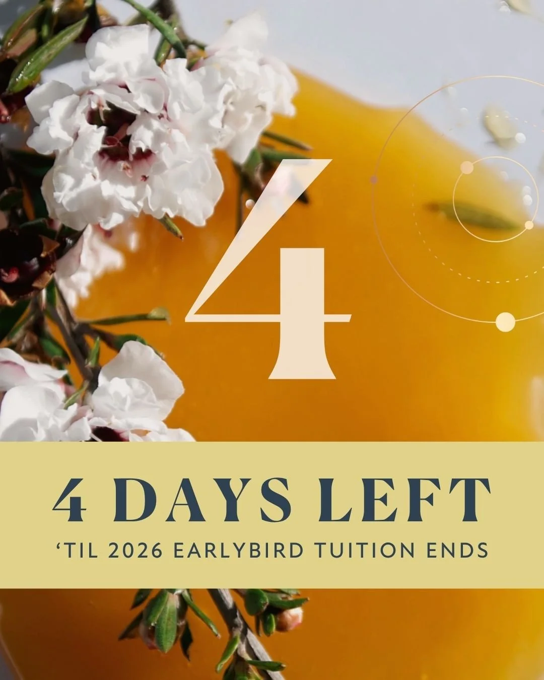 I&rsquo;m just gonna&rsquo; come out and say it: The Shakti School isn&rsquo;t your average Ayurveda program. ⁠
⁠
We don&rsquo;t memorize all the Sanskrit rules perfectly while ignoring the fact that most of us are starting from a place of being addi